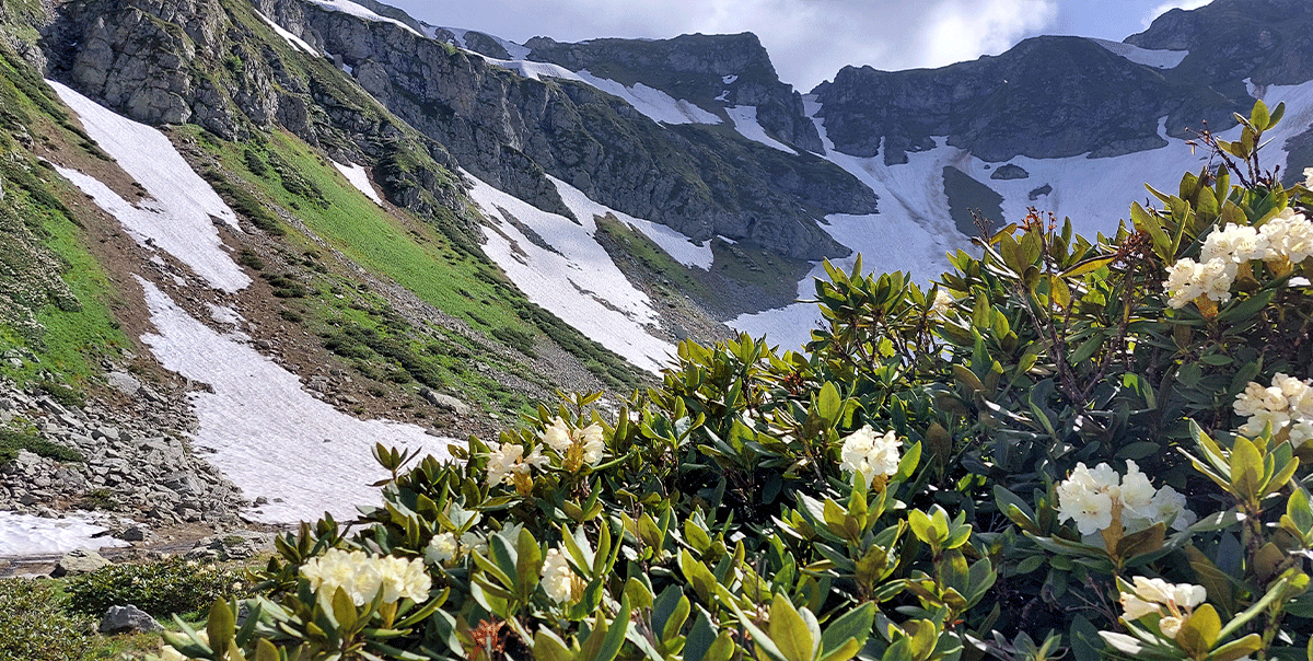 Горный лагерь в Дамхурце (18/69)