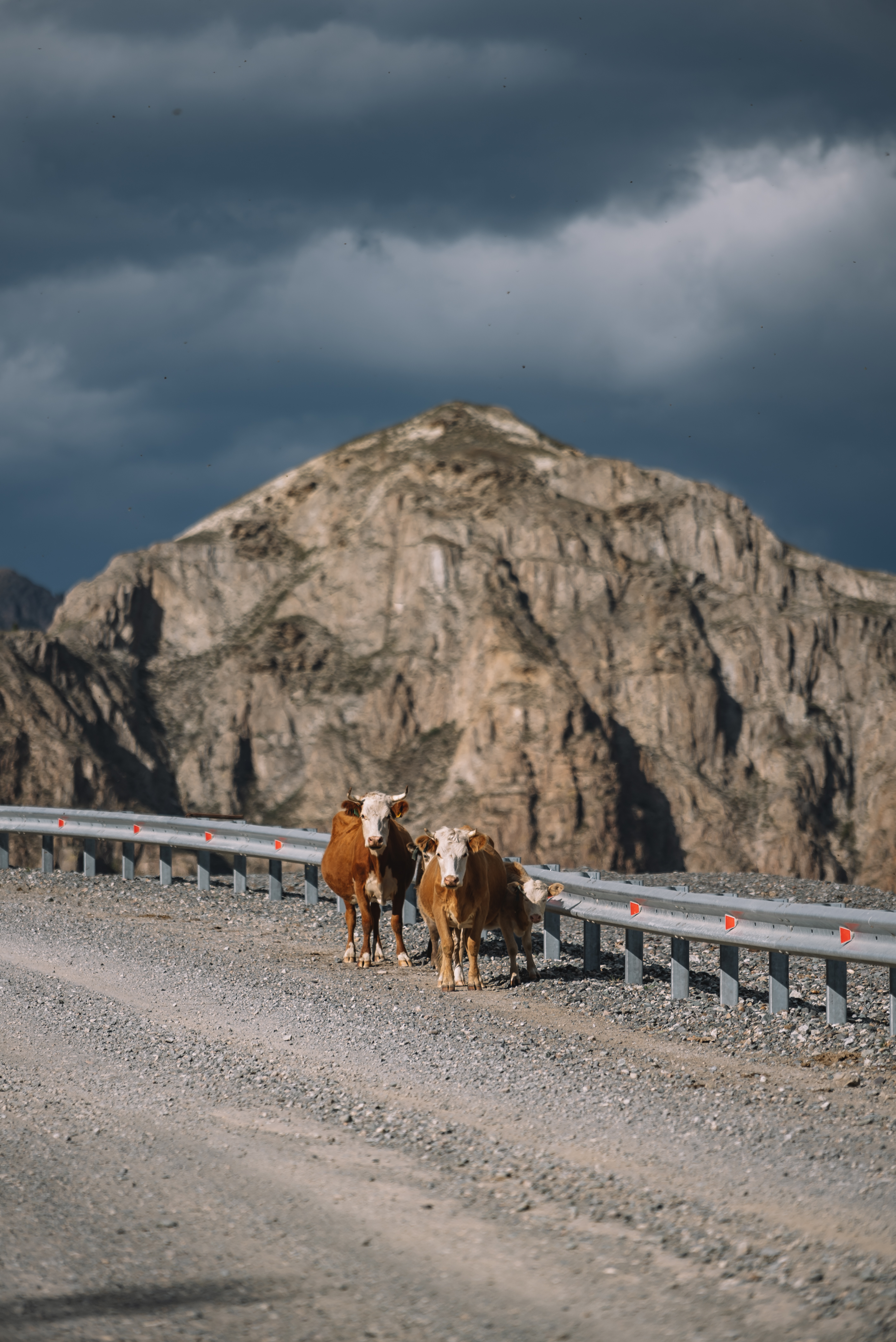 Золотое кольцо Алтая: Уровень Тор (14/21)