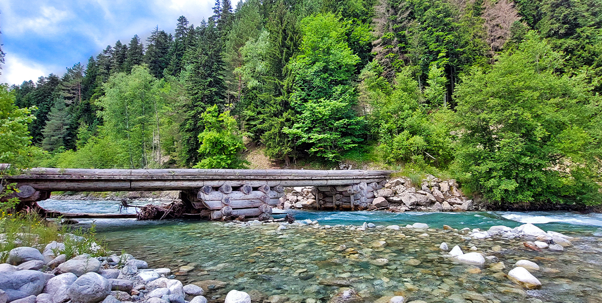 Треккинг в Дамхурц (13/69)