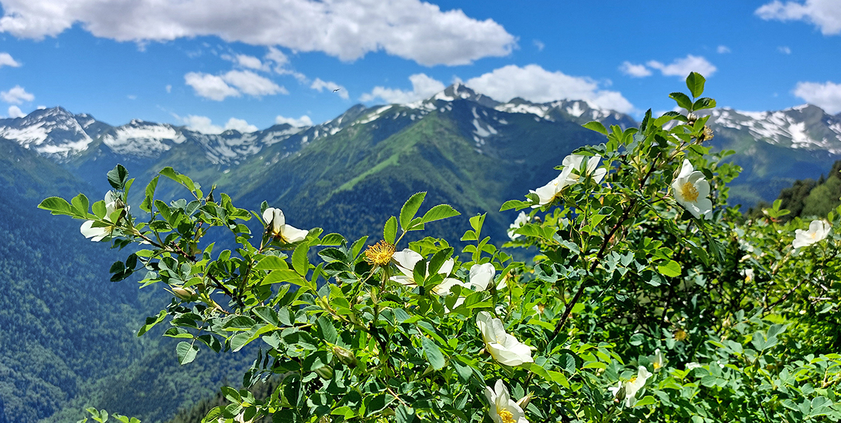 Треккинг в Дамхурц (7/69)