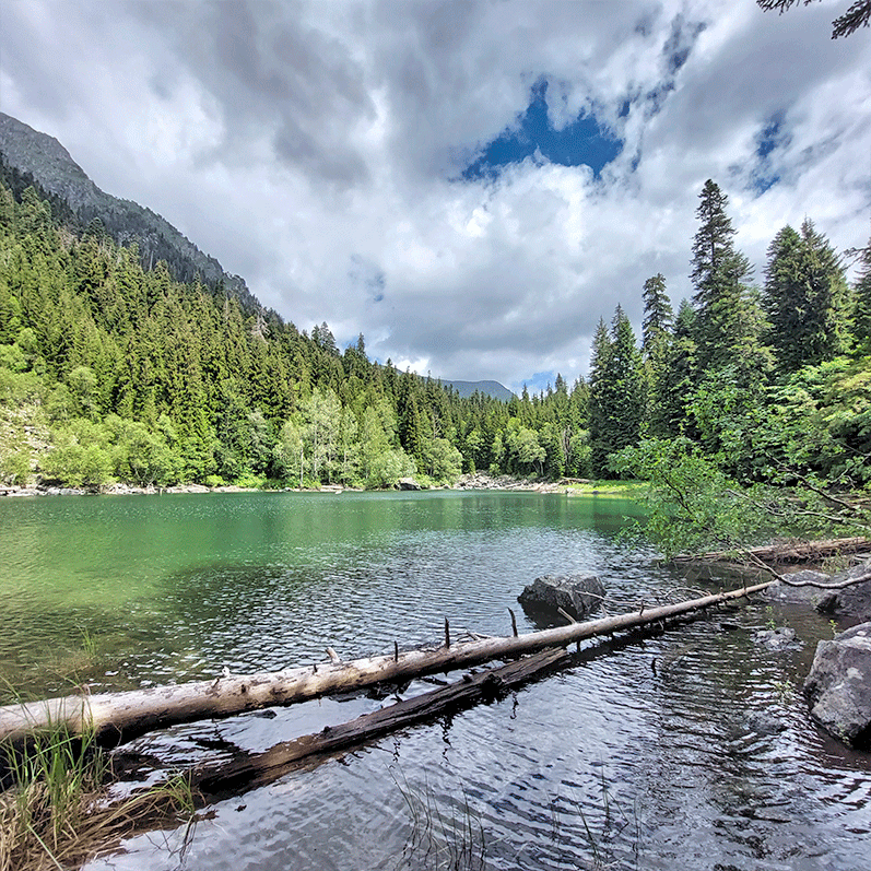 Горный лагерь в Дамхурце (22/69)