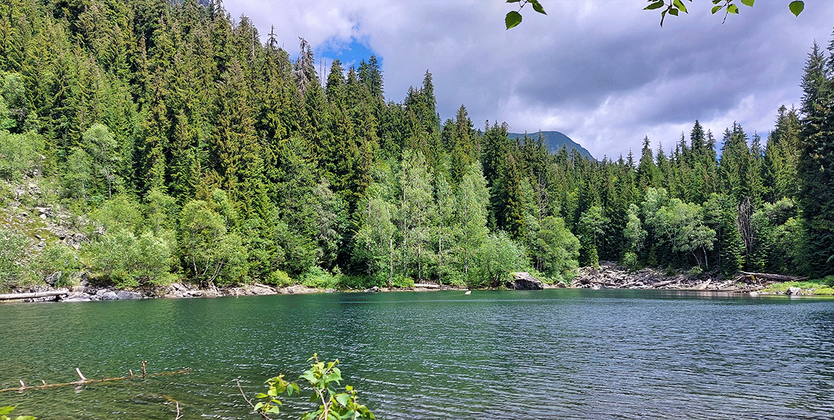 Горный лагерь в Дамхурце (13/69)