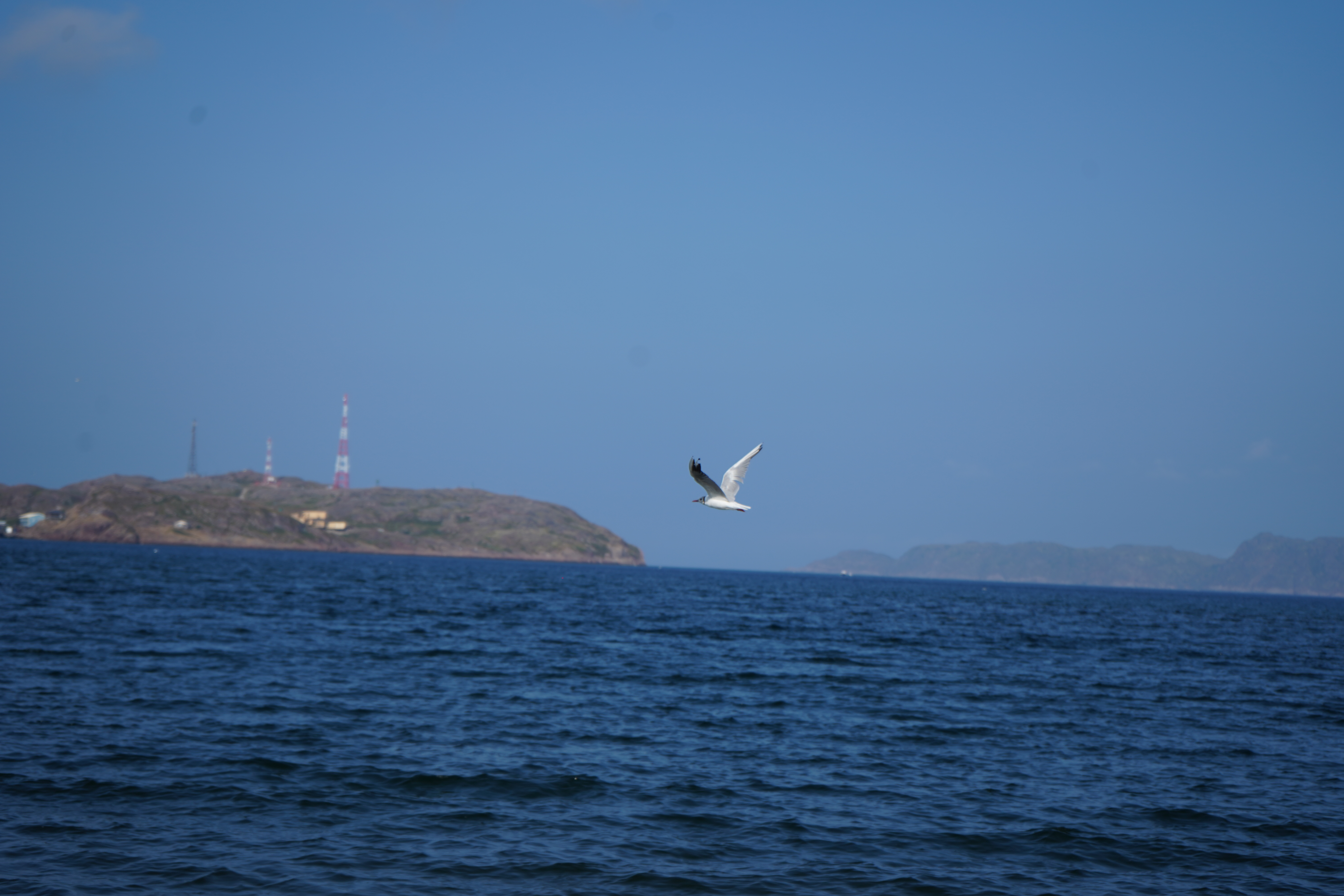 Край Земли и Ледовитый океан - Териберка (3/13)