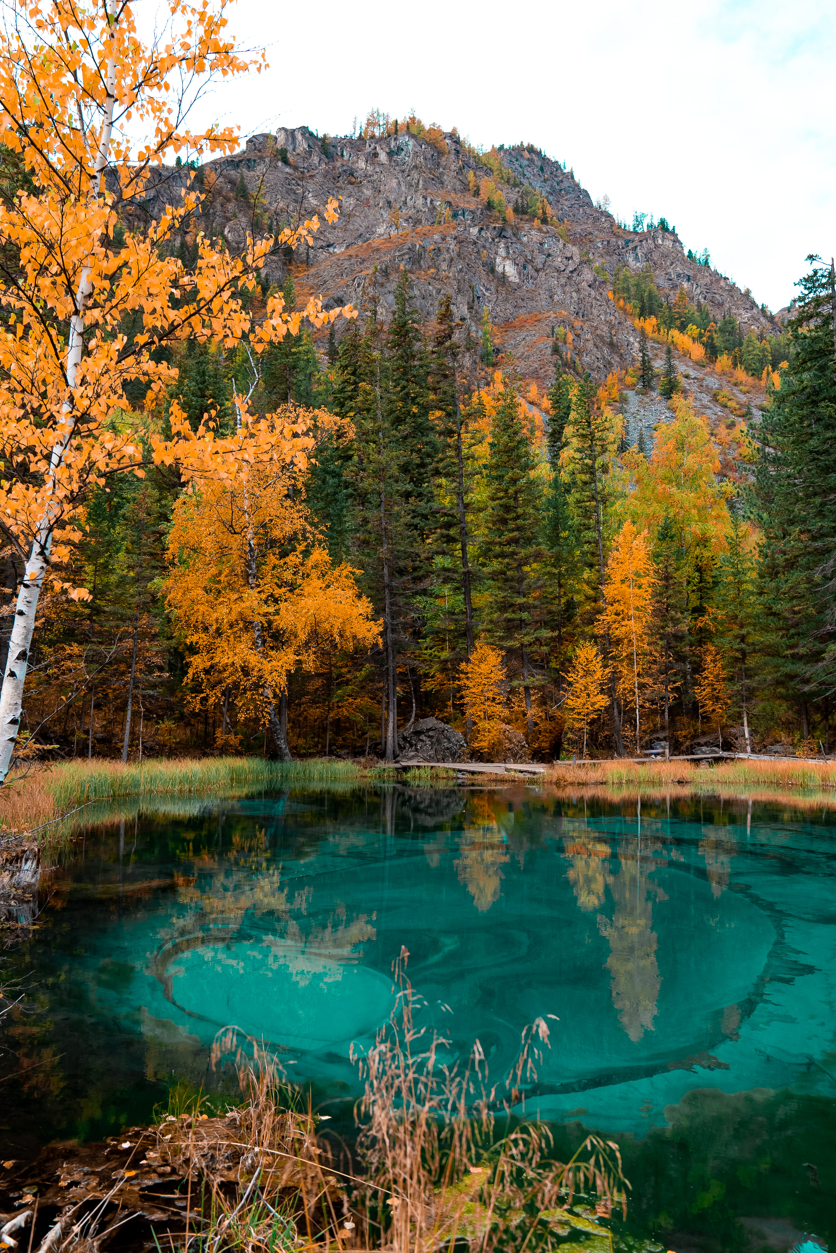 Altai Maximum (индивидуальный тур) (15/21)