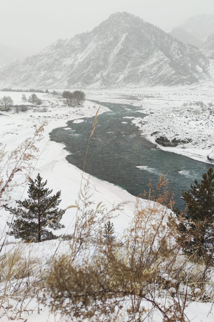 Relax в глемпинге Чемальского района и экскурсии (22/33)