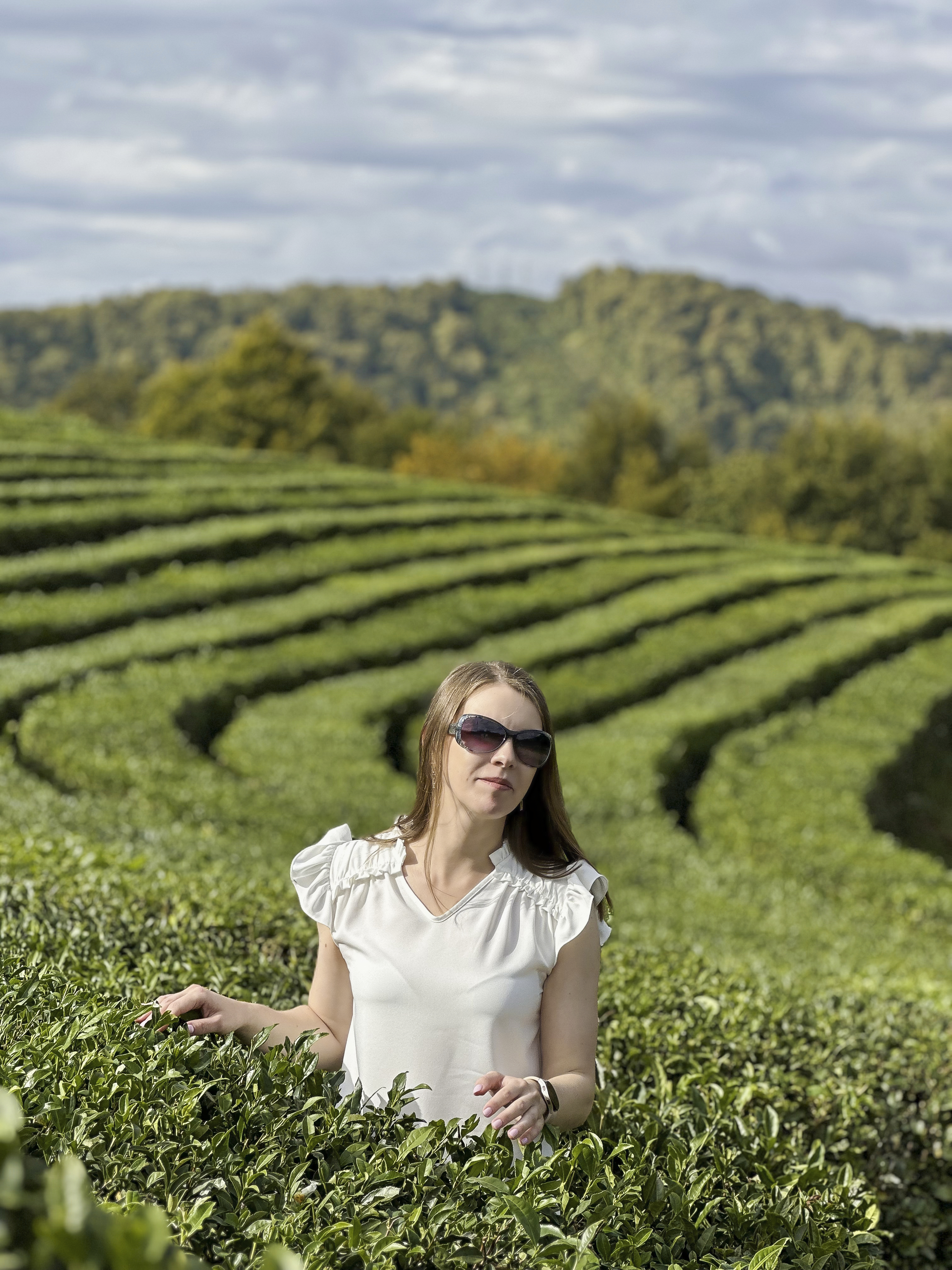 Впервые в Сочи  (цена за 1-4 чел.) (7/8)