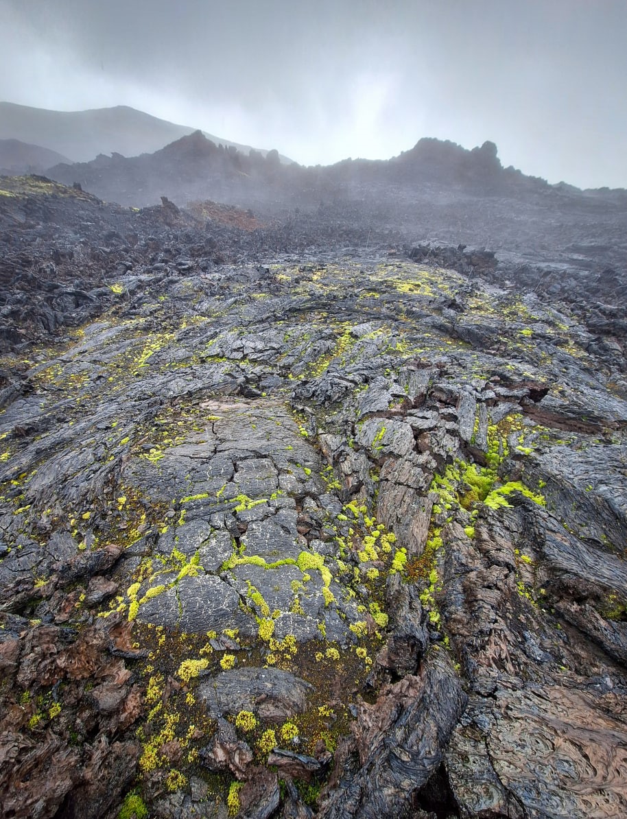Большой поход по Камчатке: Толбачик и вулканы юга (20/46)