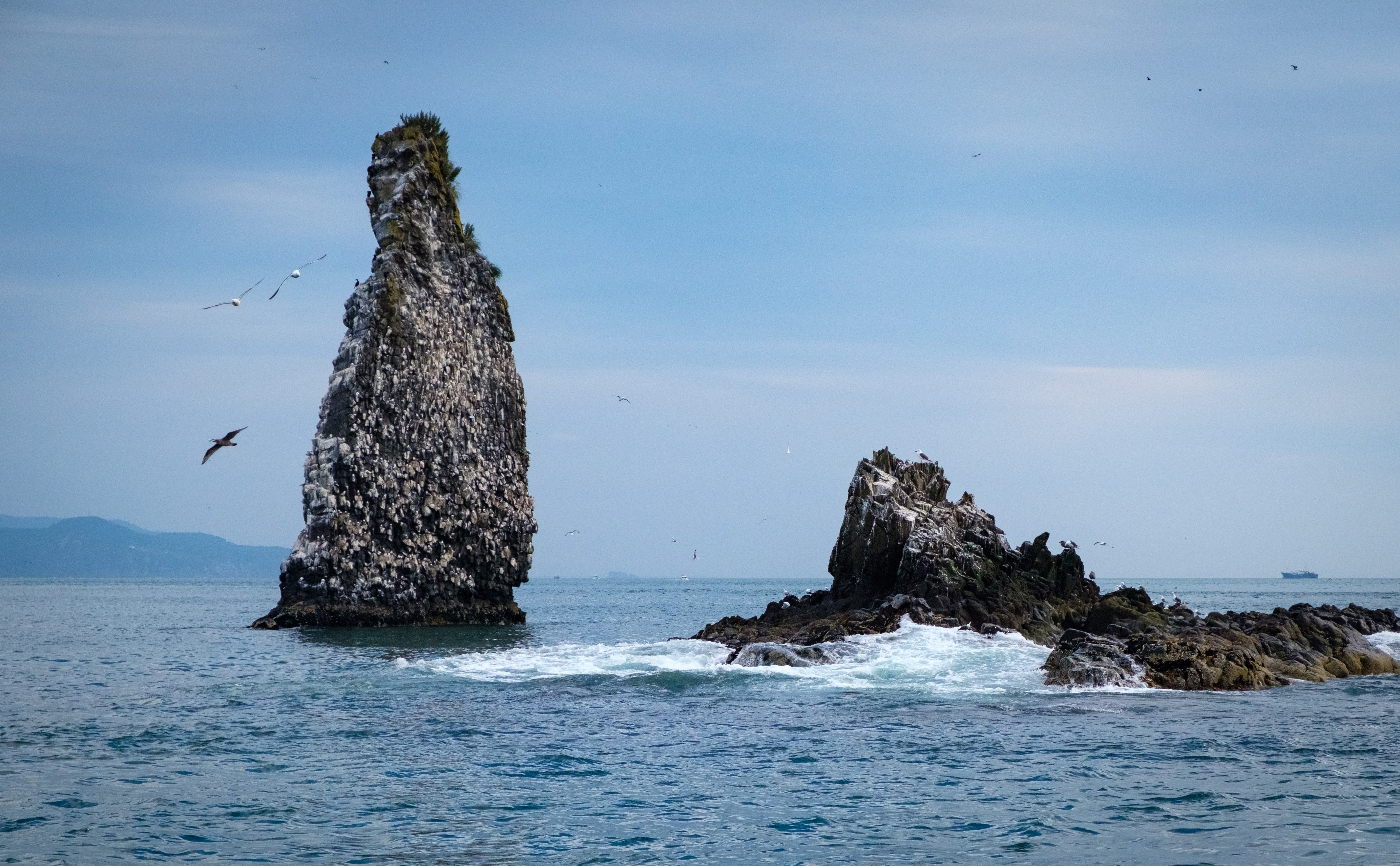 Большой поход по Камчатке: Толбачик и вулканы юга (29/46)