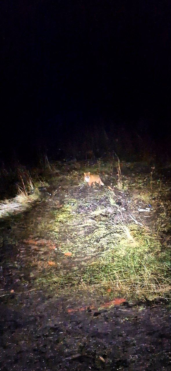 Край Земли и Ледовитый океан - Териберка (12/13)