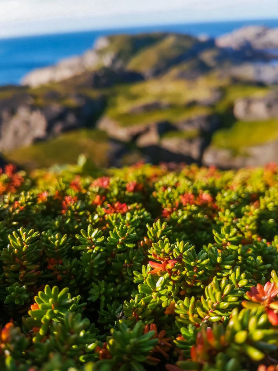 Край Земли и Ледовитый океан - Териберка (11/13)