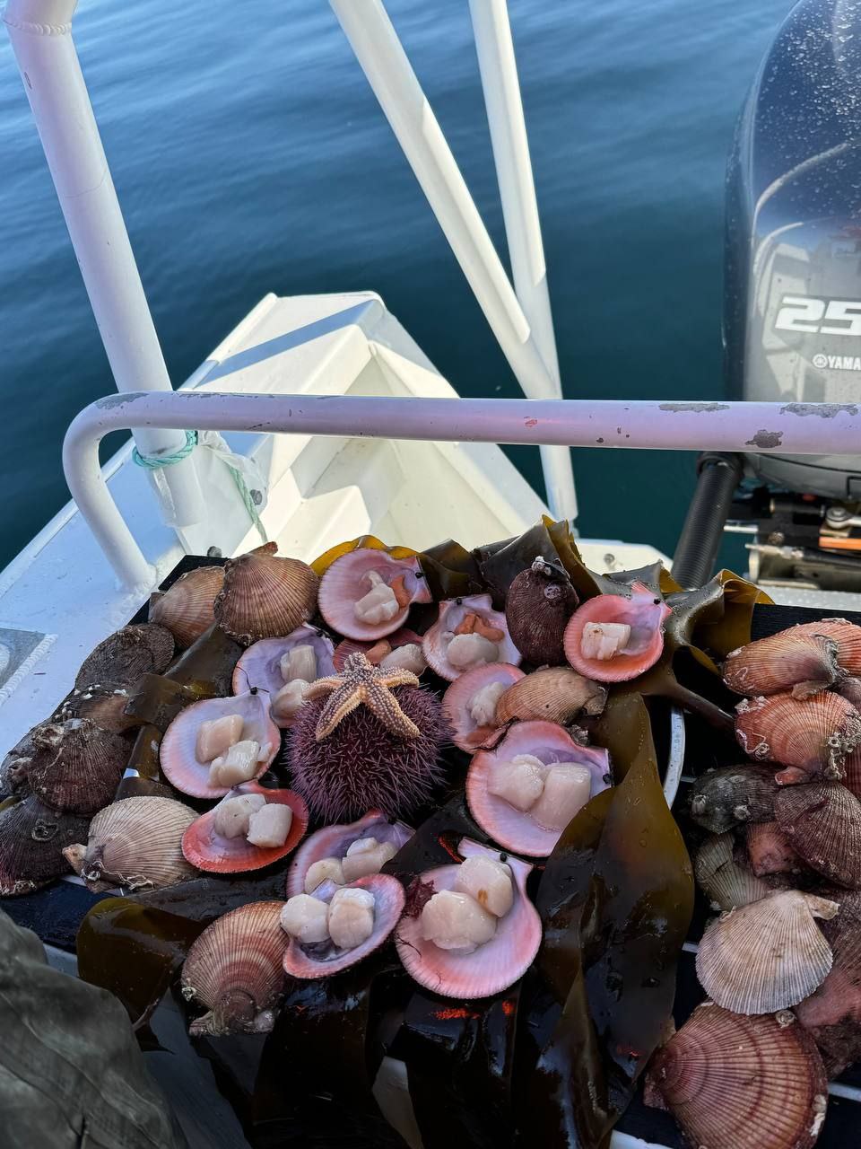 Путешествие за северным сиянием! Все Включено! (5/72)