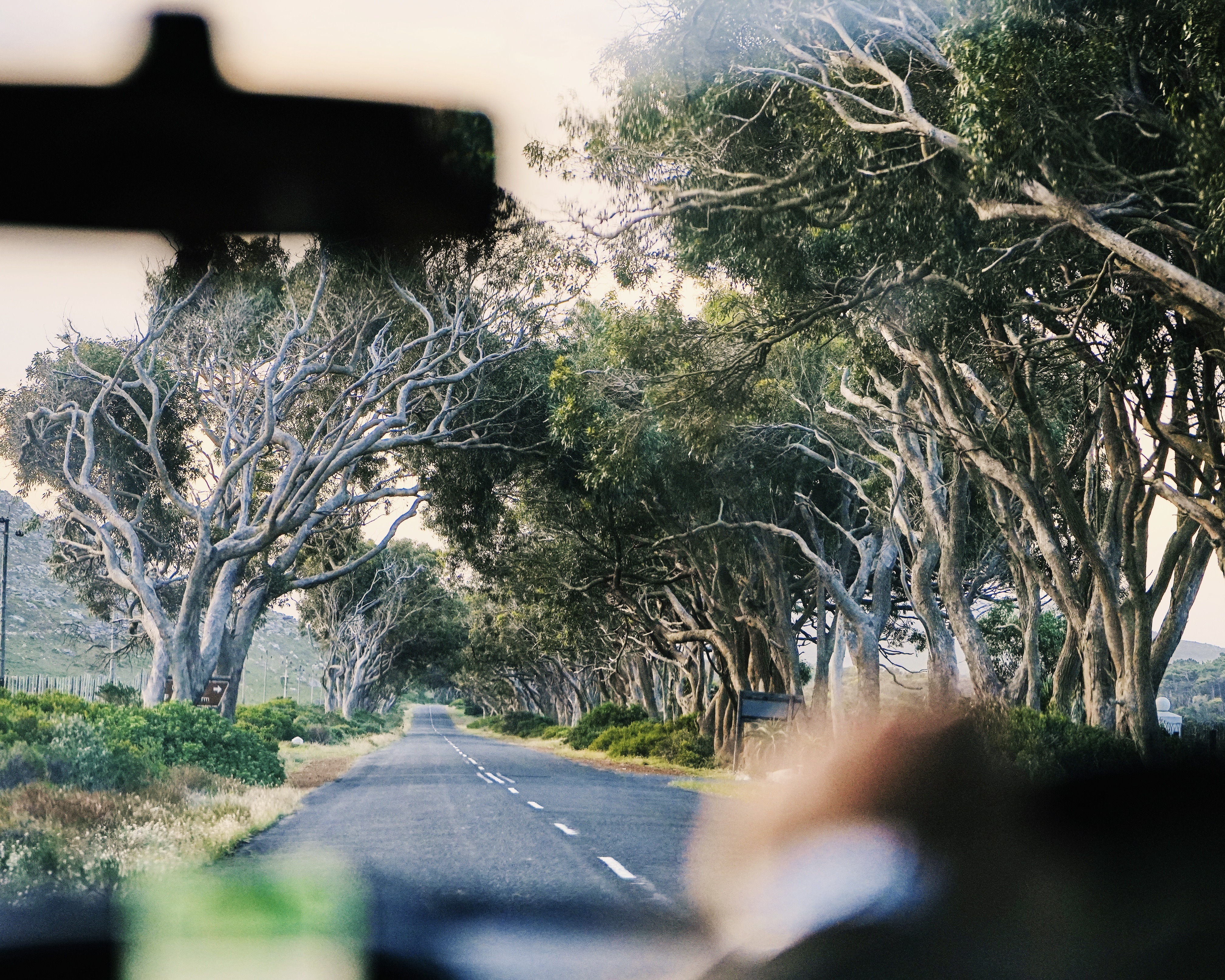 Юар Garden Route (8/37)