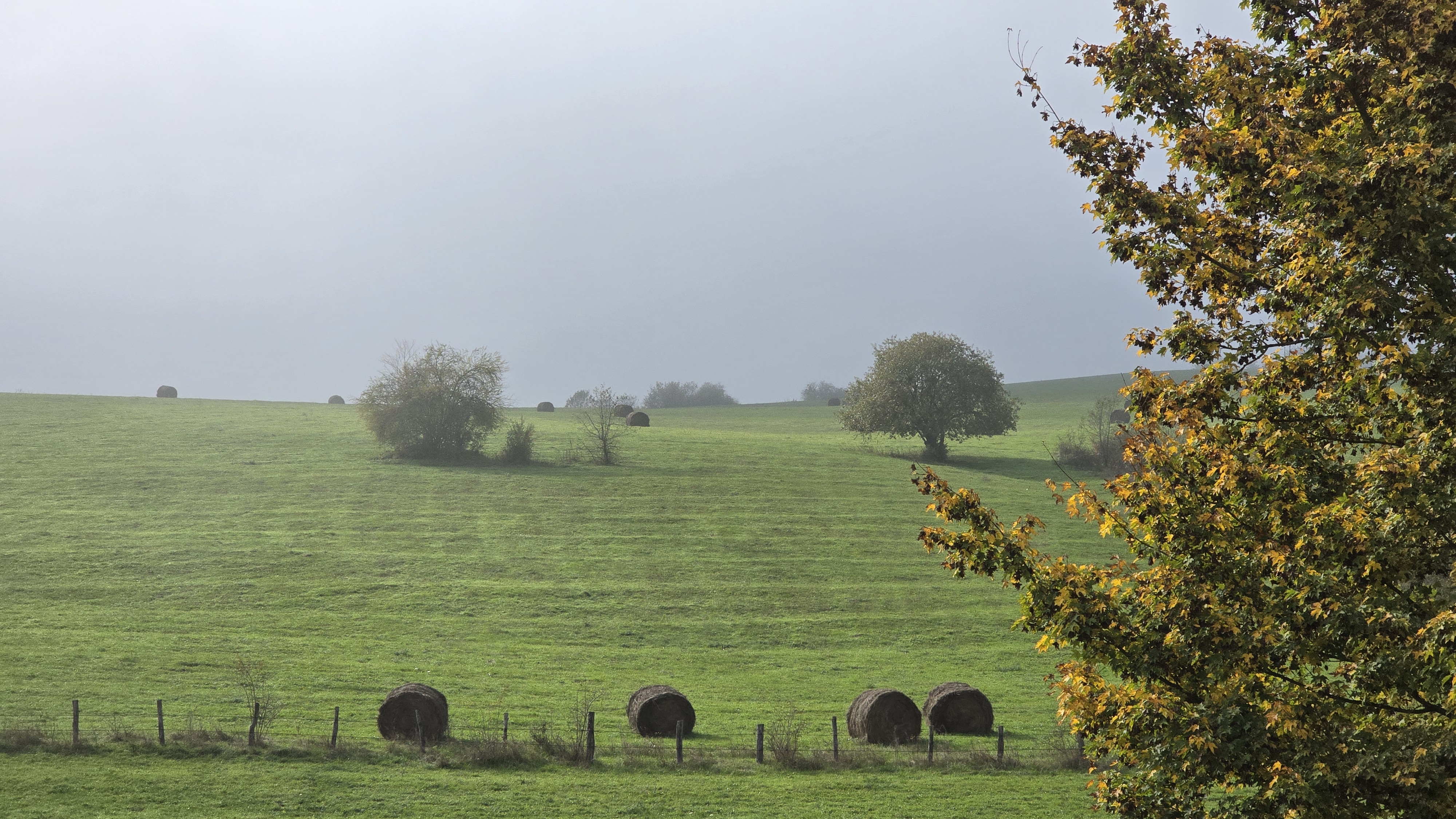 Вдоль хребта (48/74)