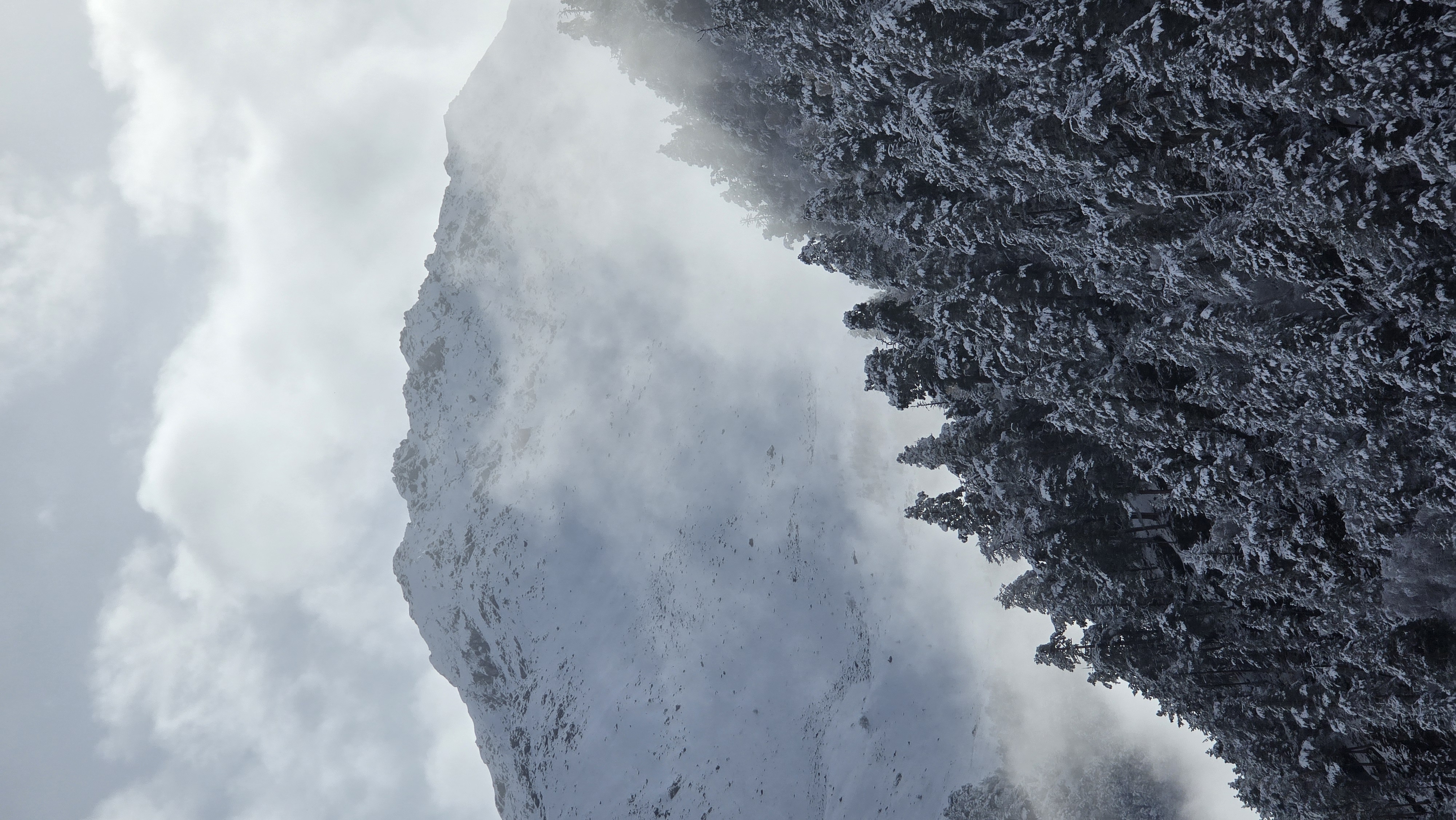 Вдоль хребта (46/74)