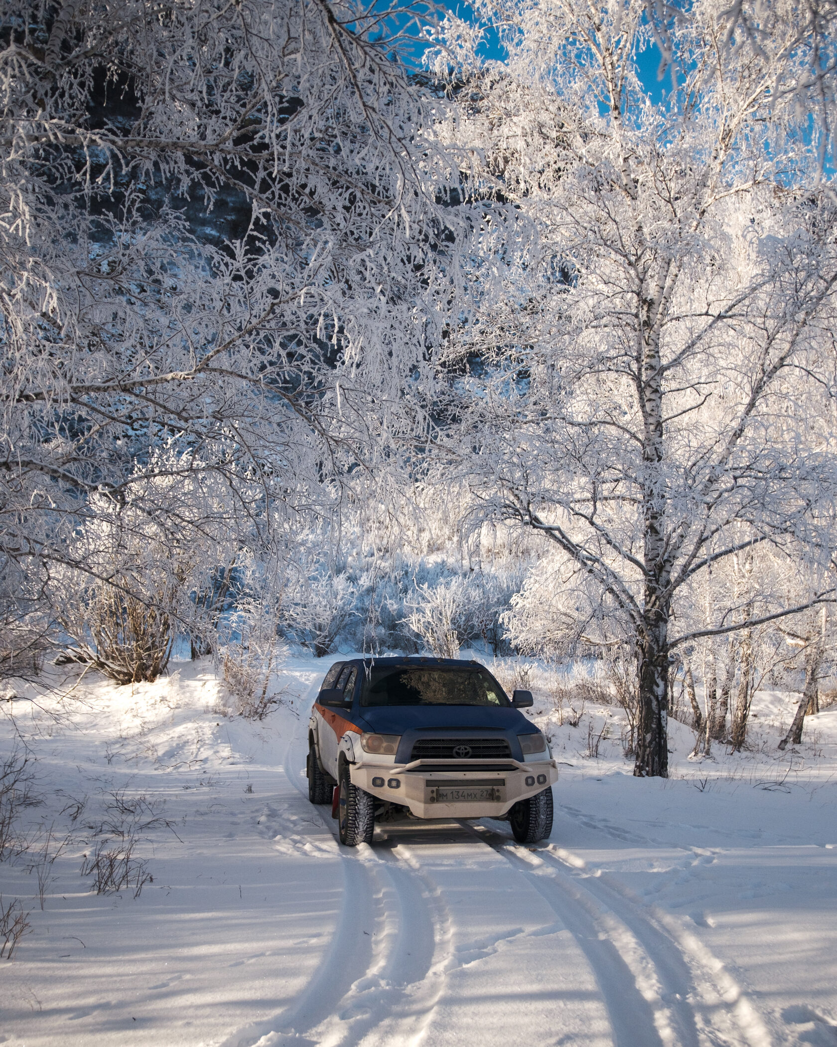 Тур-Экспедиция в Монголию к оленеводам (7/8)