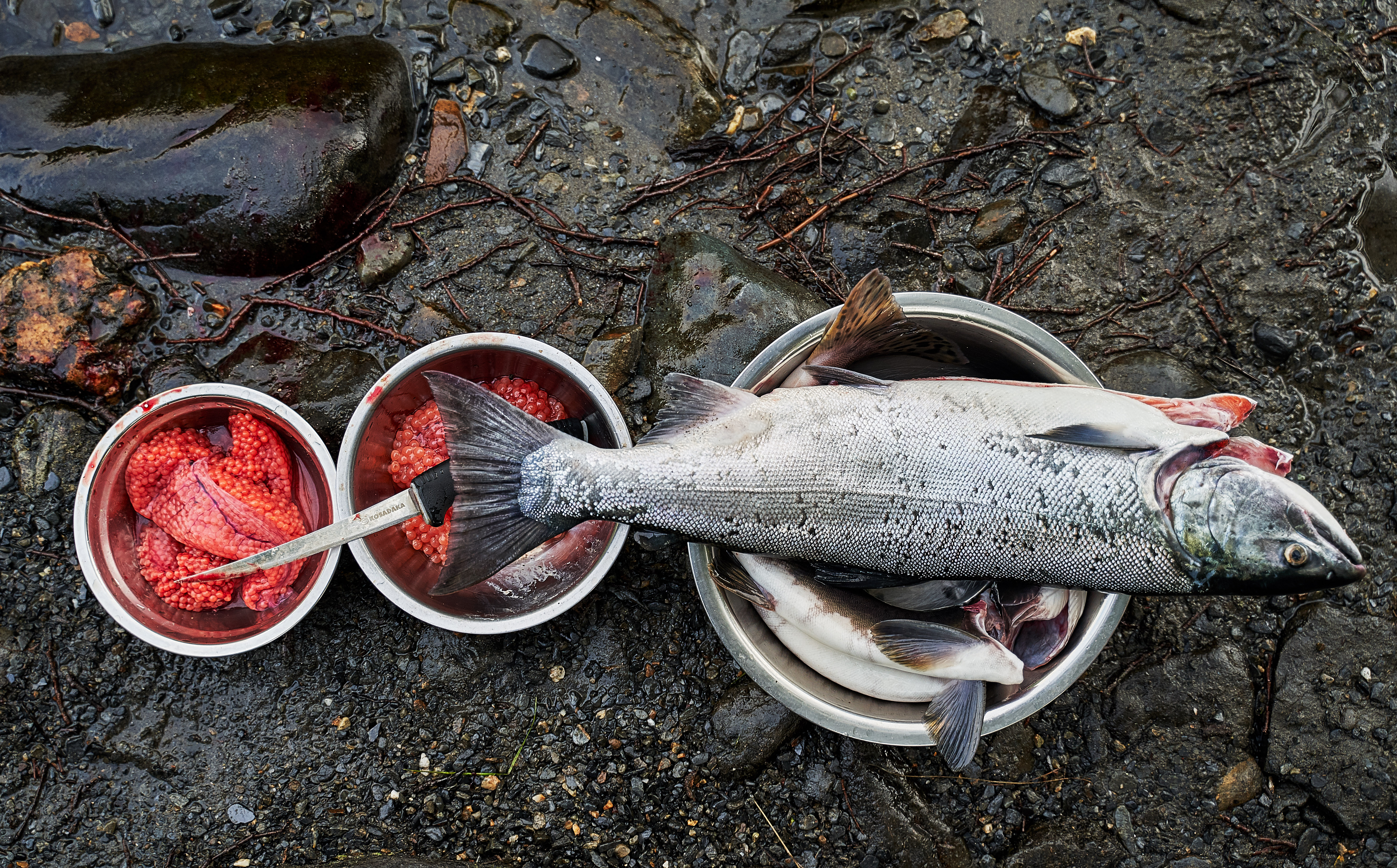 Все, что нужно увидеть на Камчатке в одном туре (13/26)