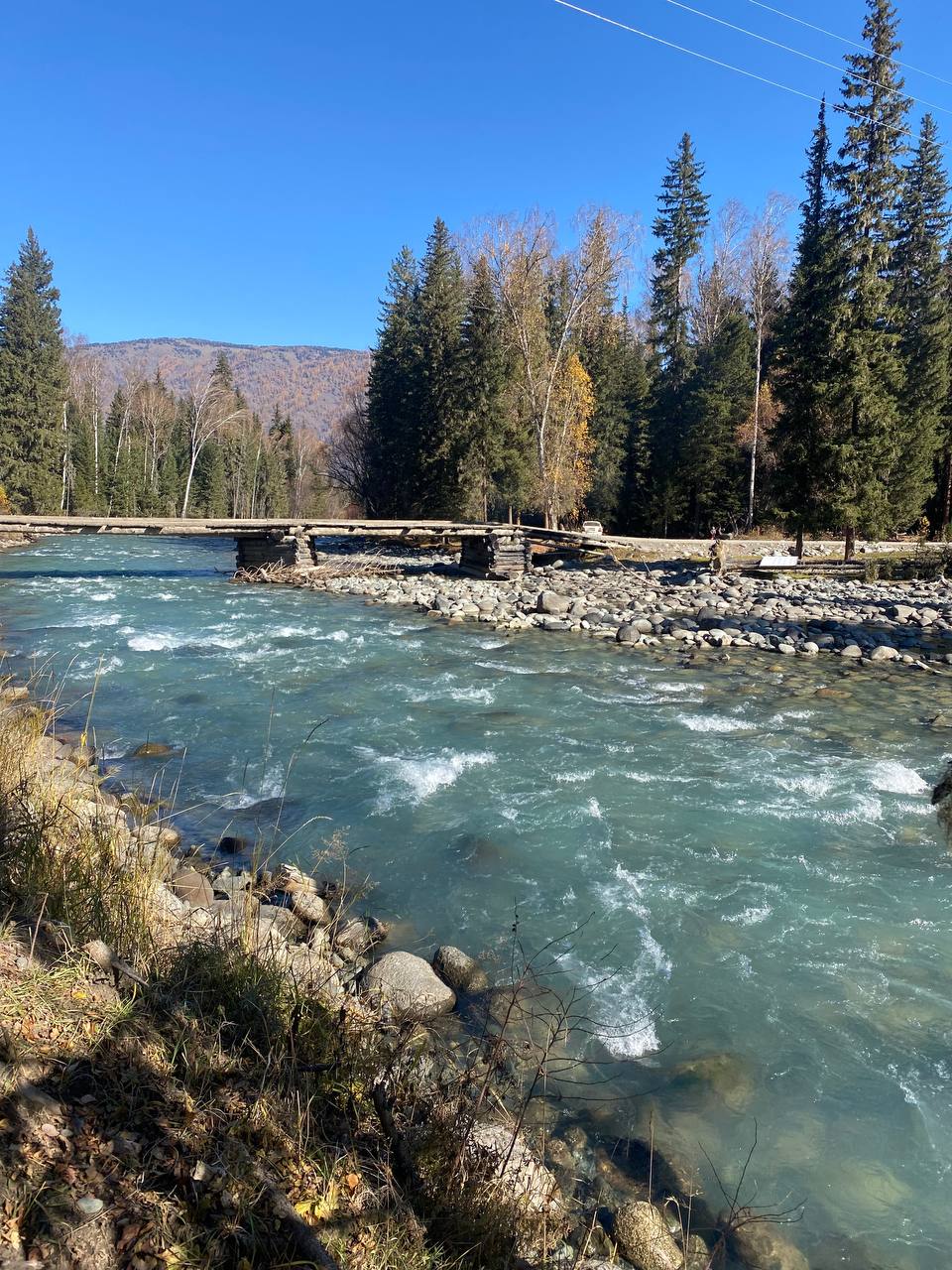 Феникс -перерождение на Алтае. (9/22)