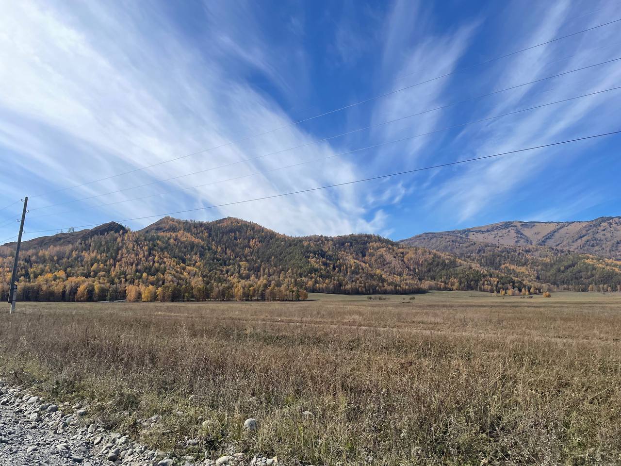 Феникс -перерождение на Алтае. (14/22)