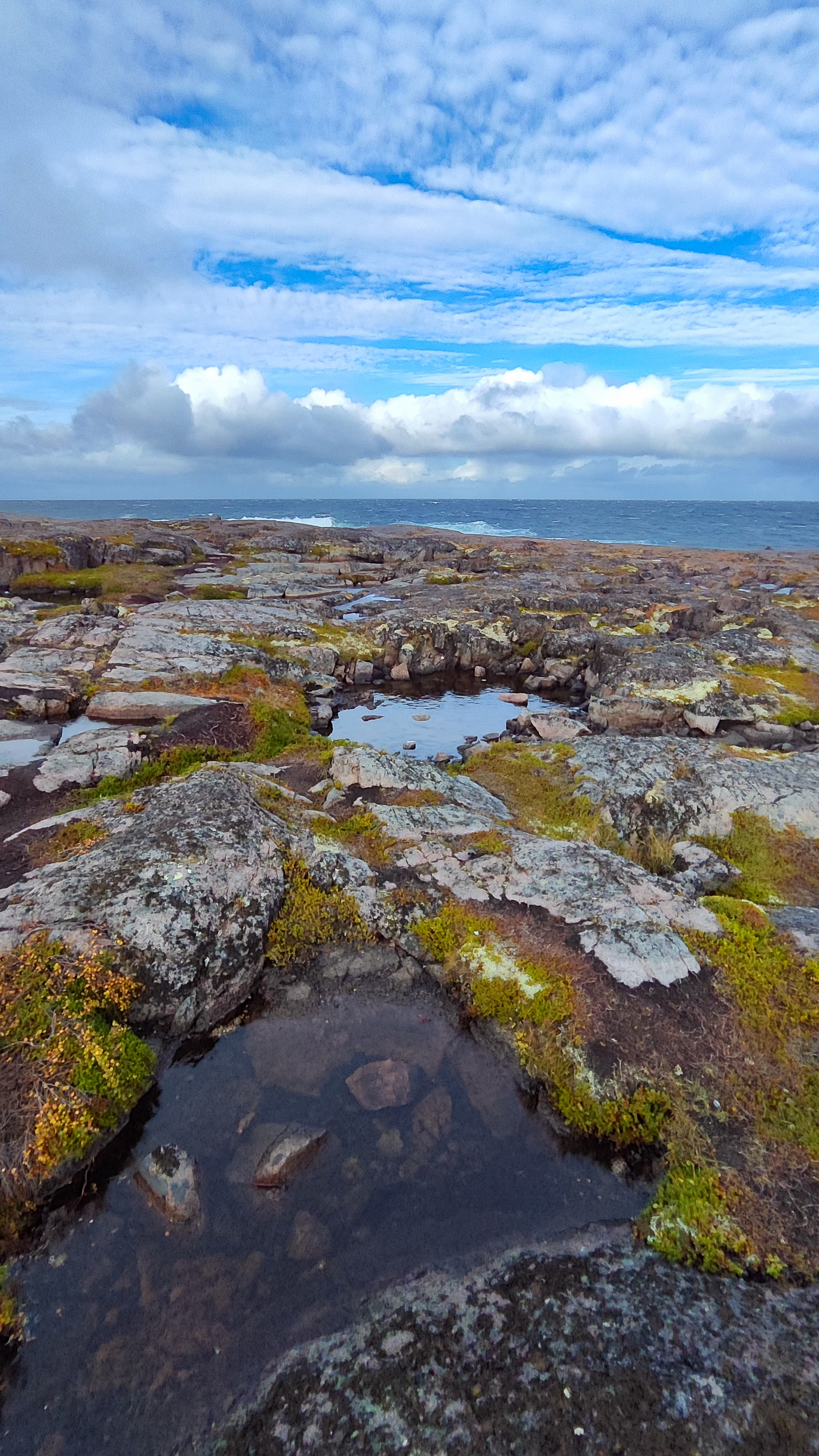 В поисках Китов и Северного сияния: загадочная Териберка (31/67)