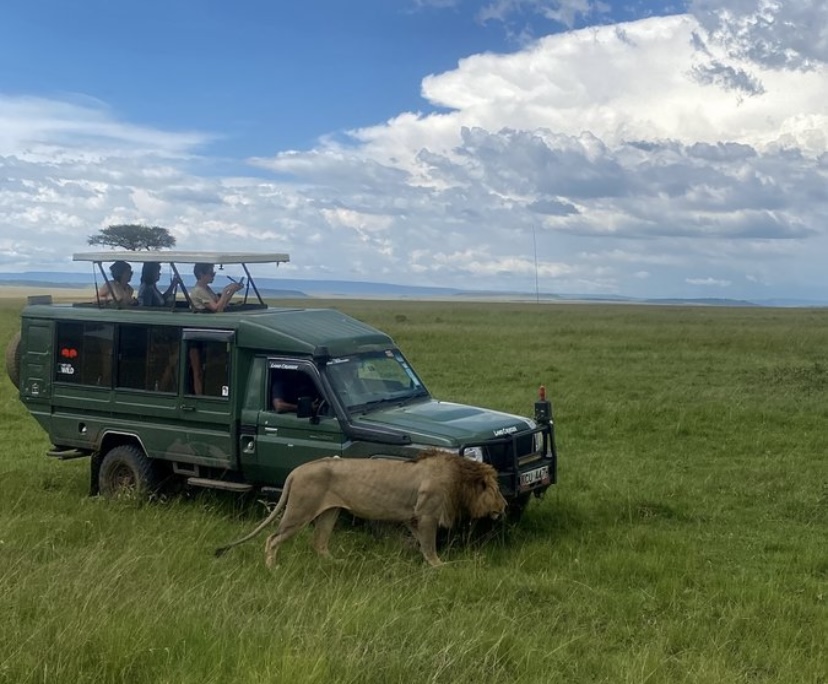 Другая Африка - Кения-Танзания-Занзибар (45/46)