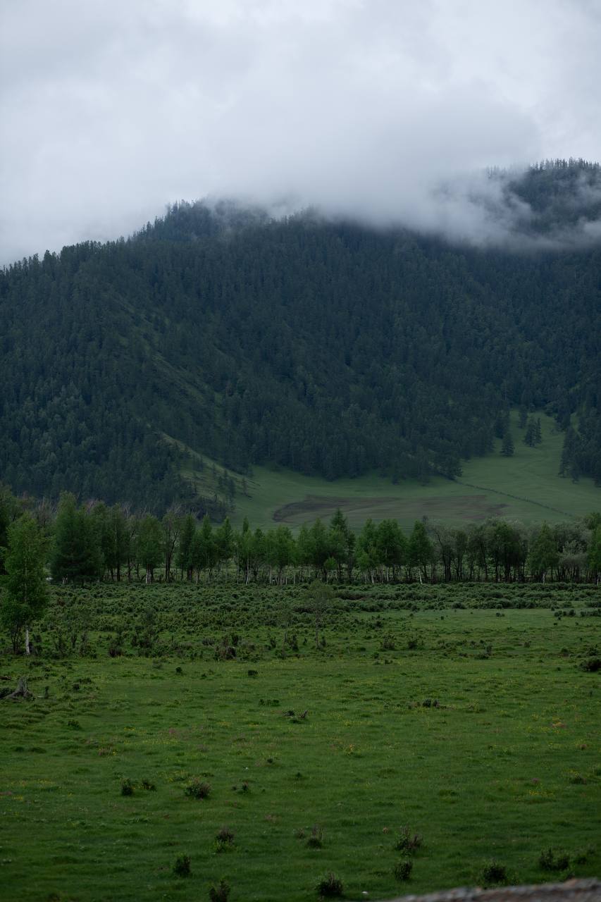 Алтай. Экспедиция по Чуйскому тракту (5/41)