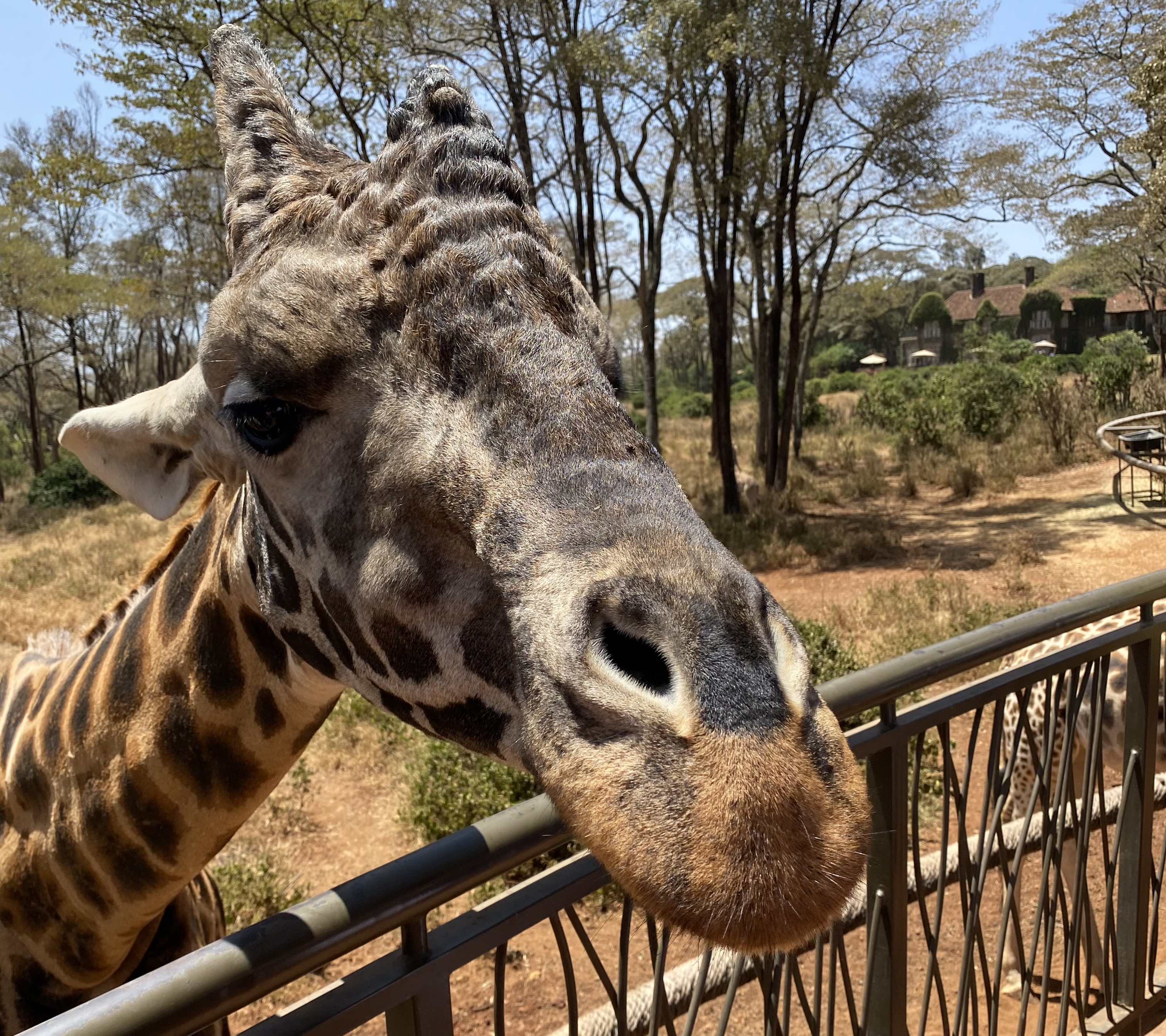 Другая Африка - Кения-Танзания-Занзибар (2/46)