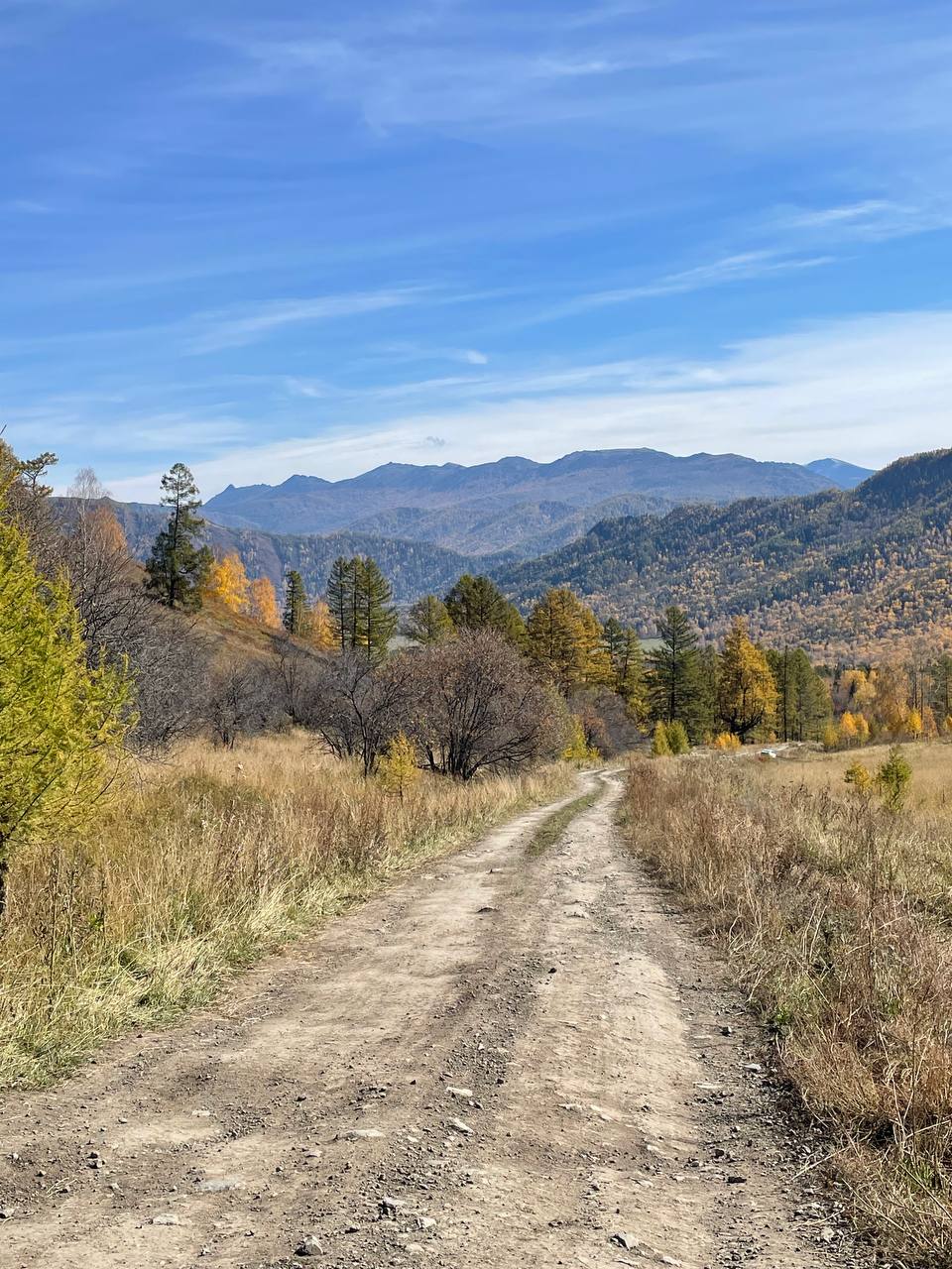 Феникс -перерождение на Алтае. (18/22)