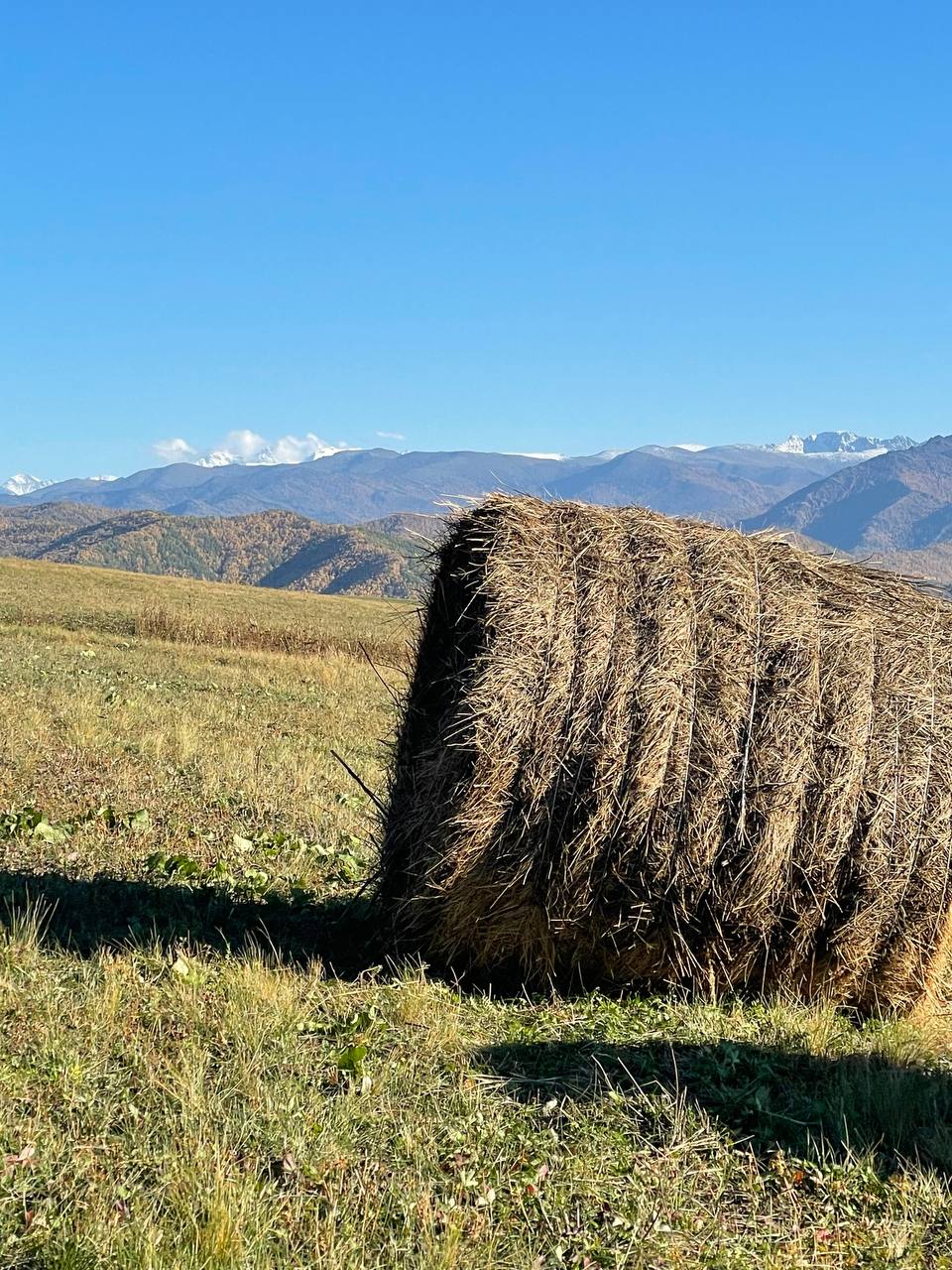 Феникс -перерождение на Алтае. (22/22)