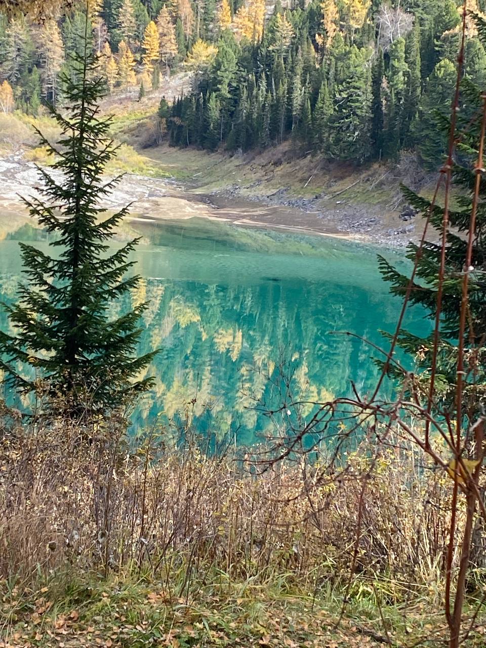 Феникс -перерождение на Алтае. (21/22)