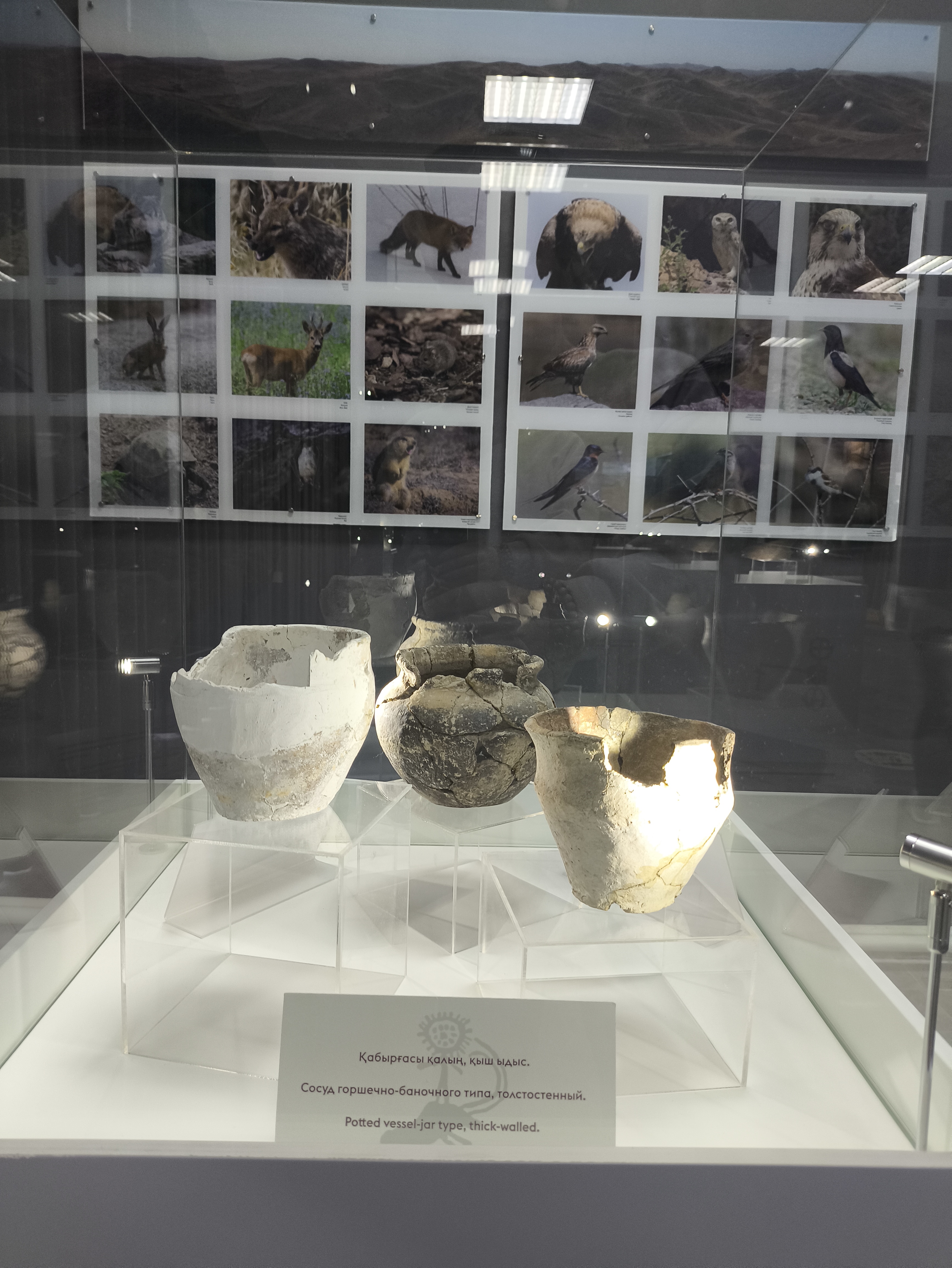 Петроглифы Тамбалы Тас Юнеско - в индивидуальном формате (7/12)