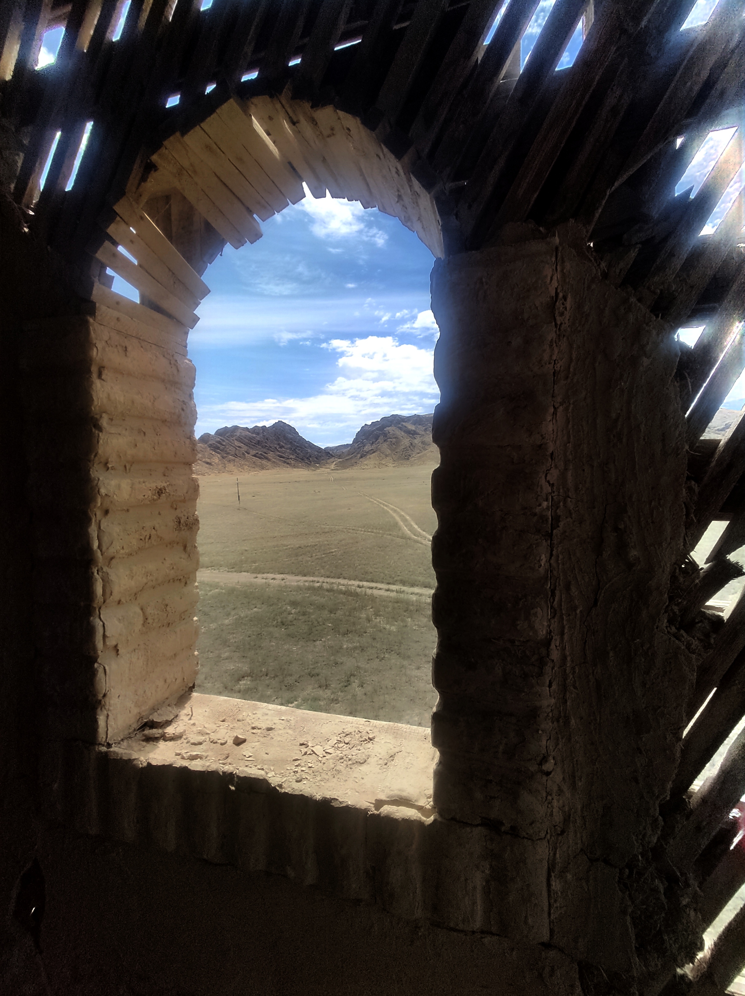 Петроглифы Тамгалы Тас Будда и Город Кочевников- в индивидуальном формате (12/18)