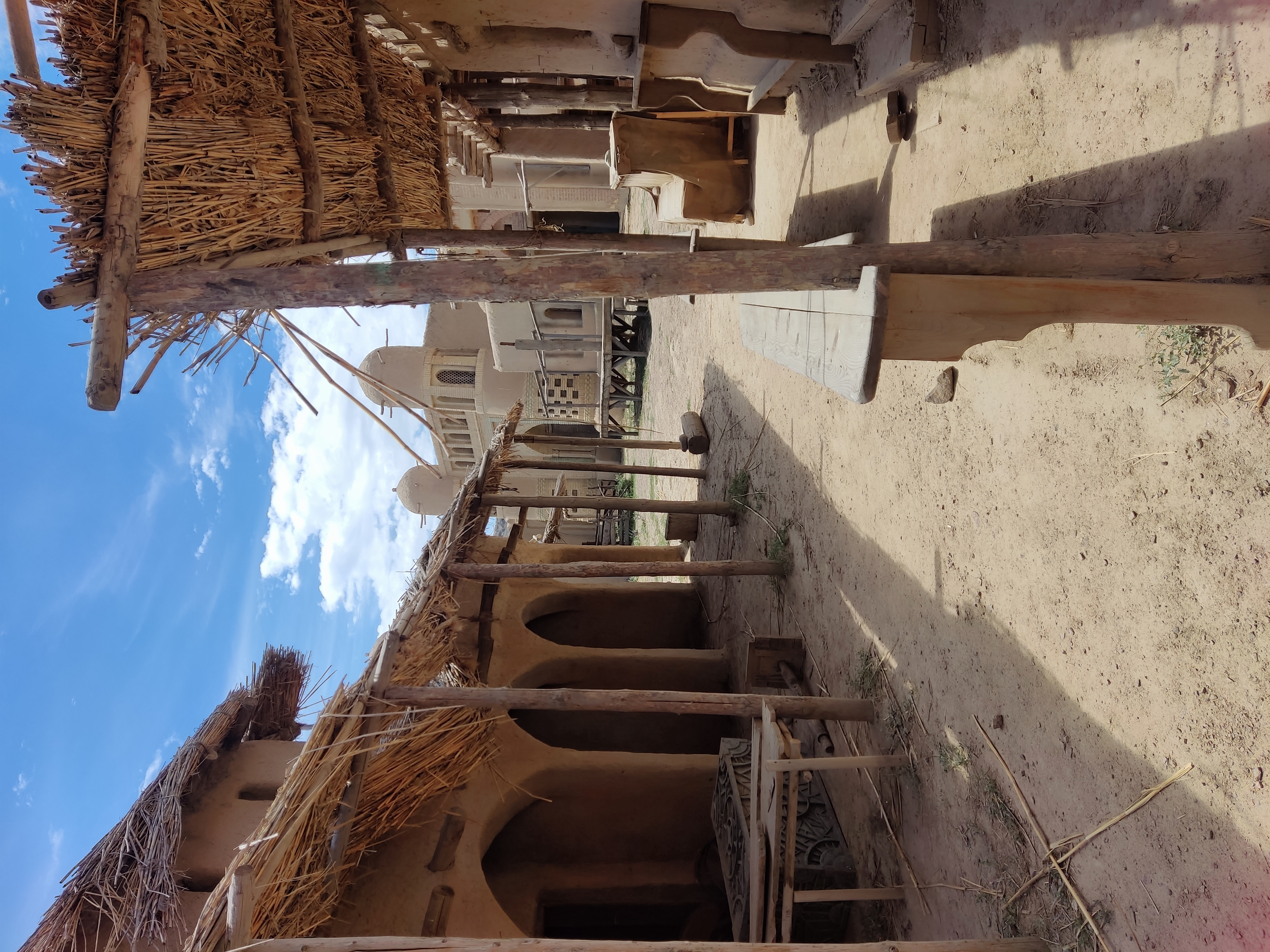 Петроглифы Тамгалы Тас Будда и Город Кочевников- в индивидуальном формате (17/18)