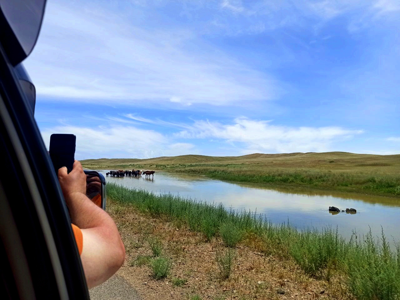 Петроглифы Тамбалы Тас Юнеско - в индивидуальном формате (10/12)