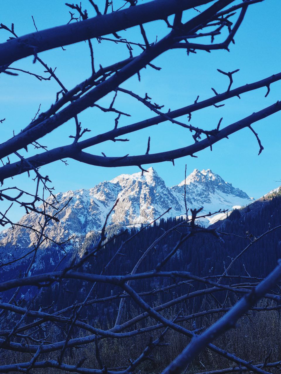 Озеро Иссык- в индивидуальном формате (5/10)