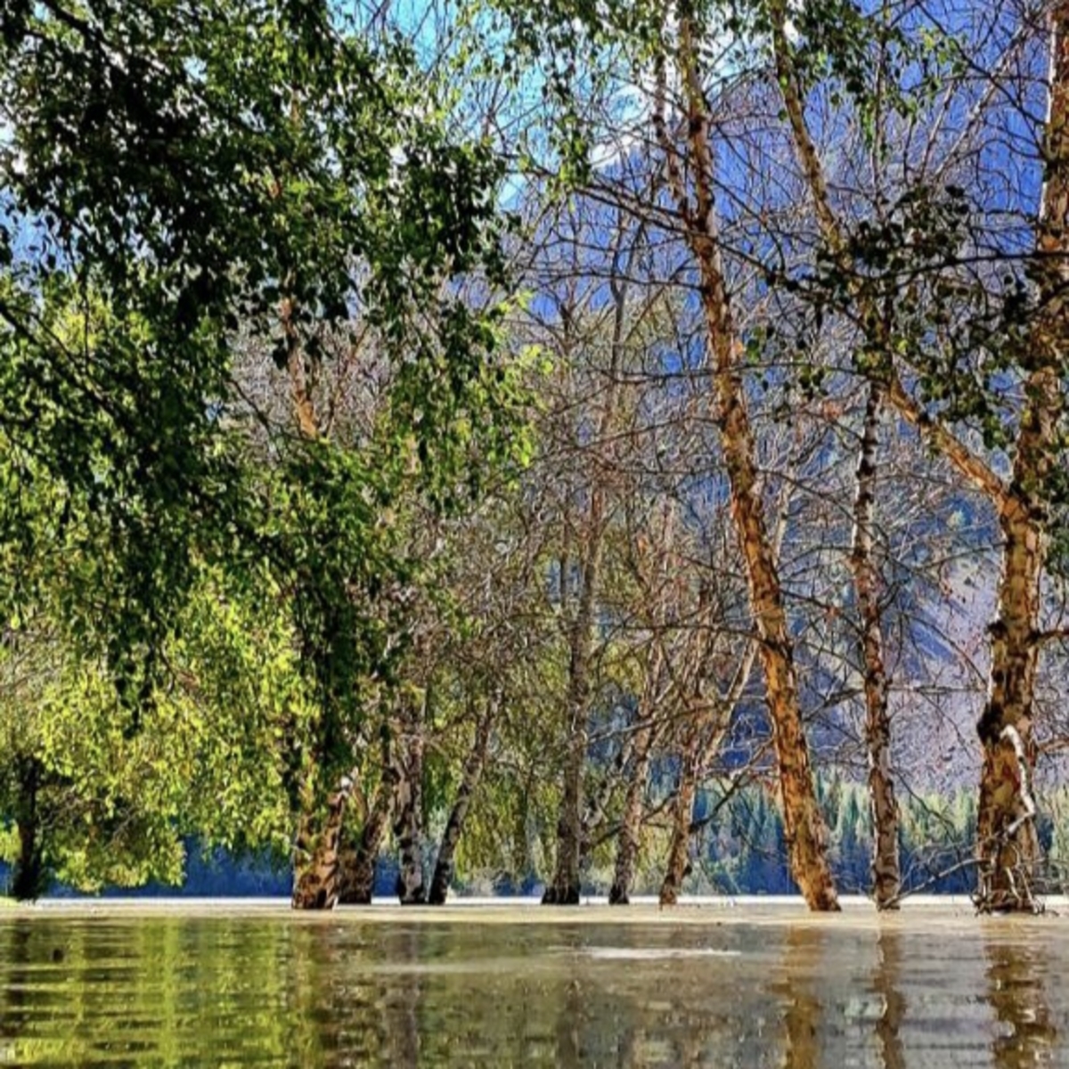 Озеро Иссык- в индивидуальном формате (8/10)