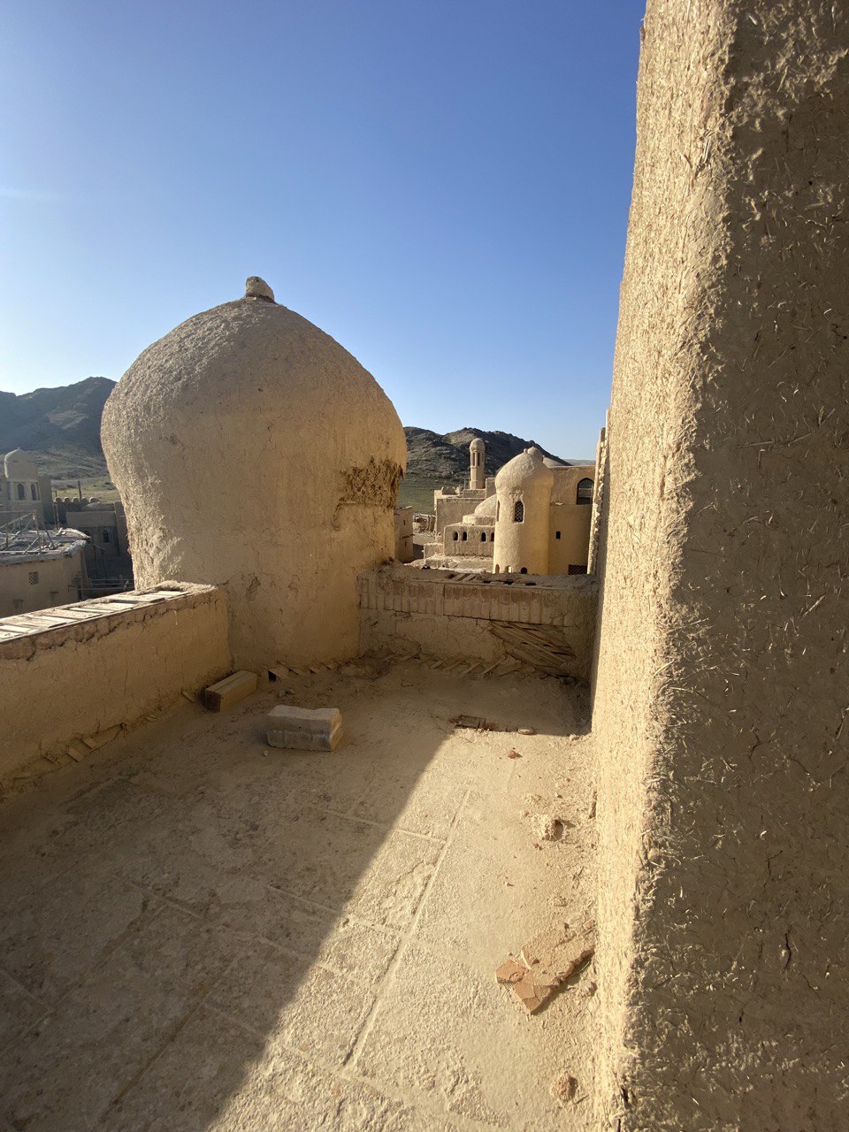 Петроглифы Тамгалы Тас Будда и Город Кочевников- в индивидуальном формате (8/18)