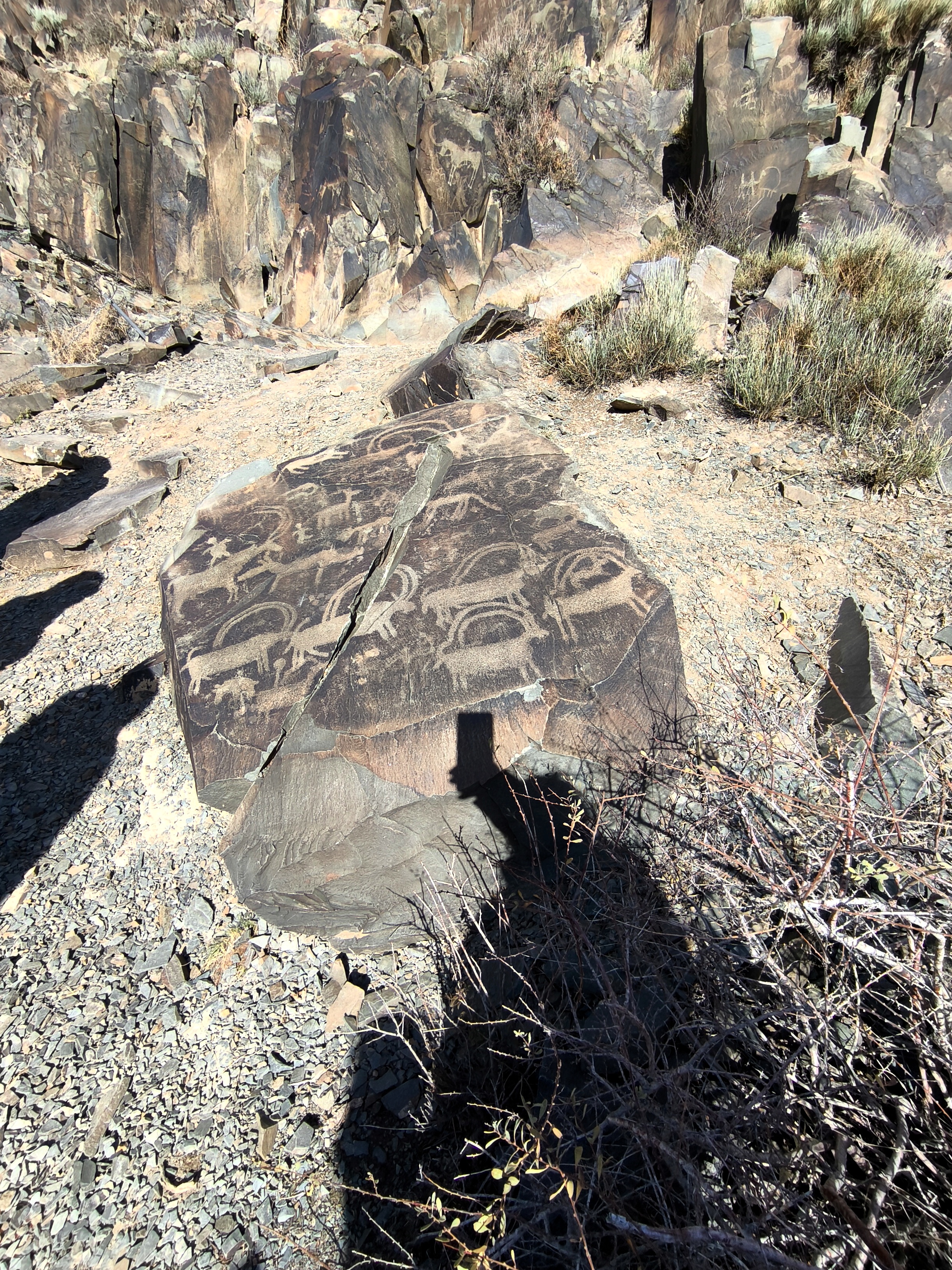 Петроглифы Тамбалы Тас Юнеско - в индивидуальном формате (6/12)