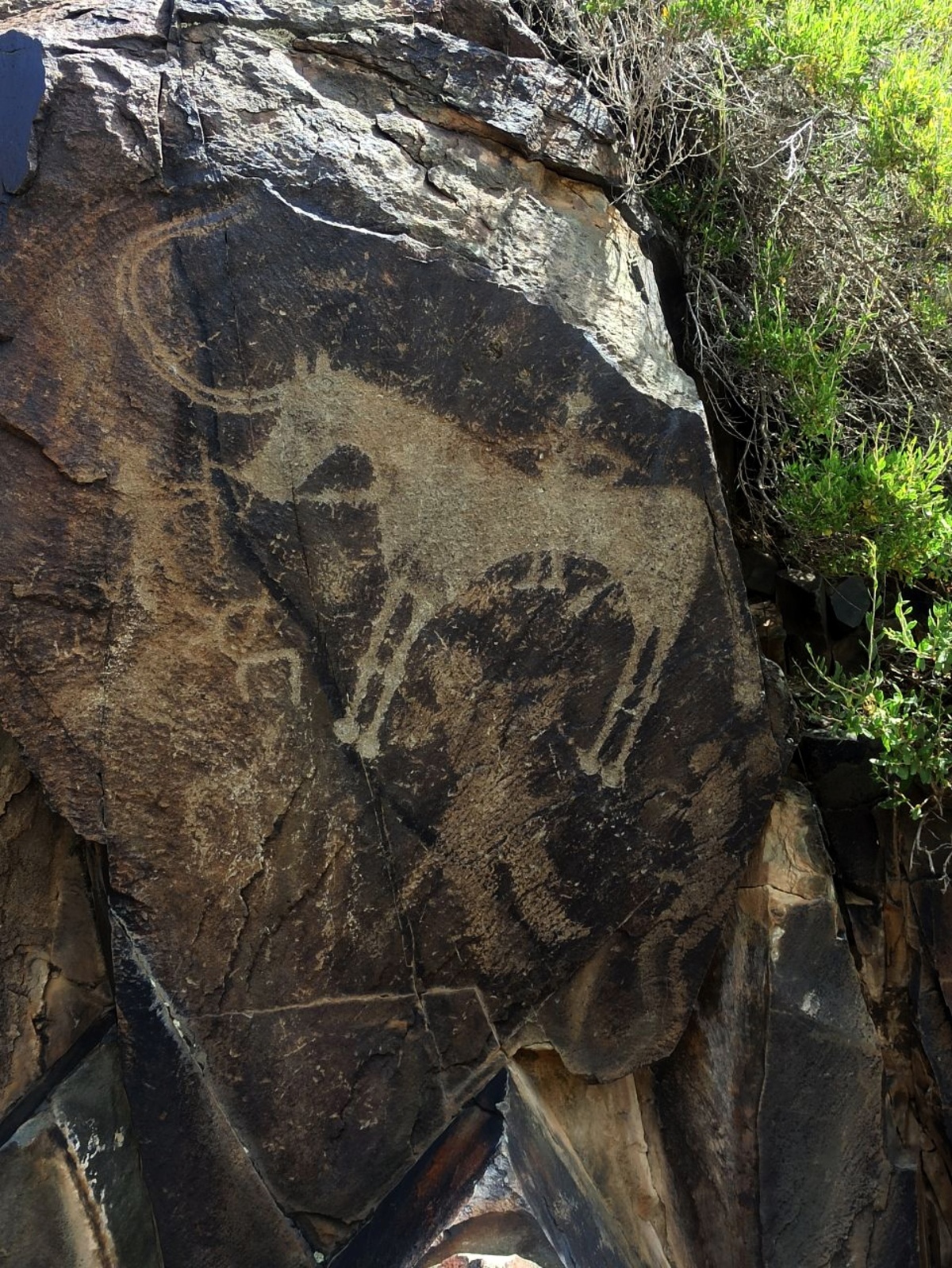 Петроглифы Тамбалы Тас Юнеско - в индивидуальном формате