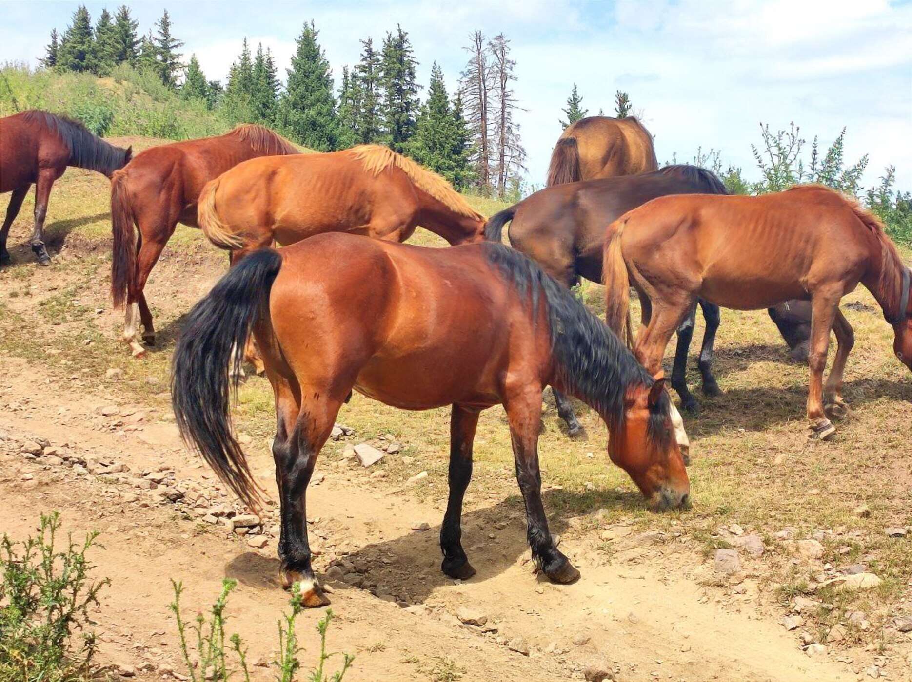 Плато Ассы: обсерватория и Тургеньский водопад- в индивидуальном формате (3/11)