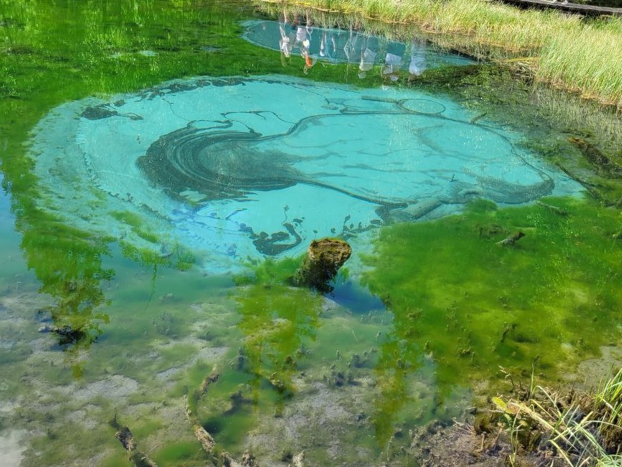 Золотой Алтай, кольцевой тур через Телецкое озеро (19/42)