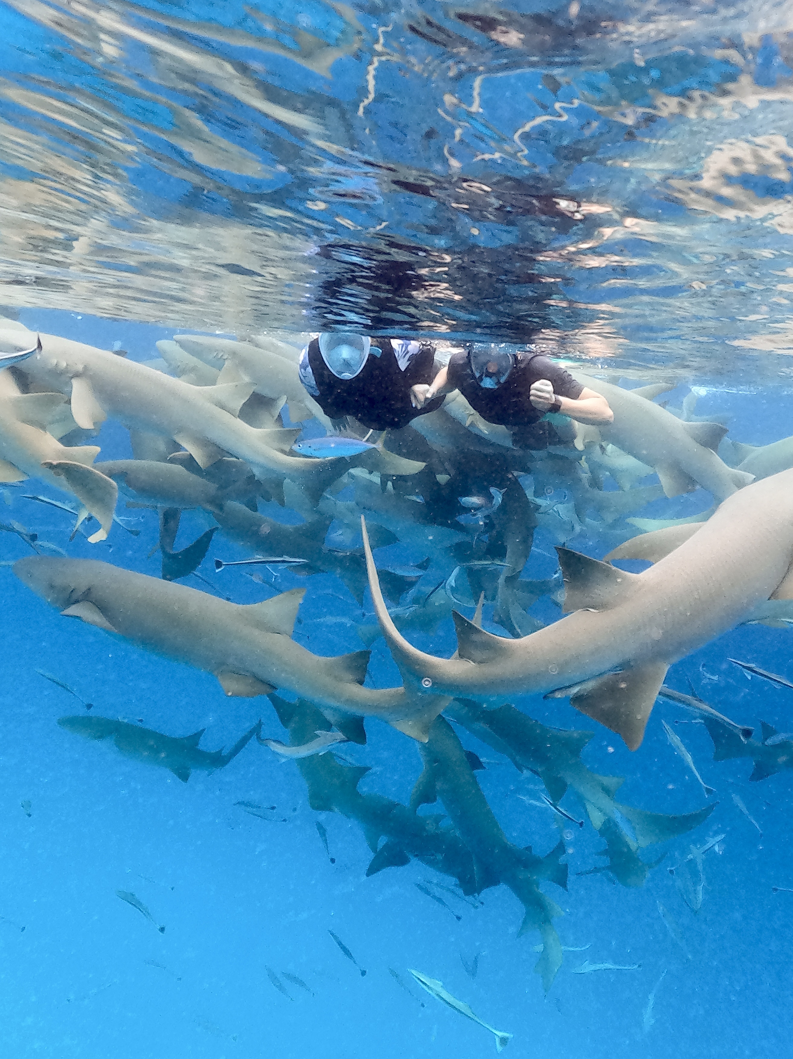 Мальдивы Для Пар - Ваши даты (31/61)