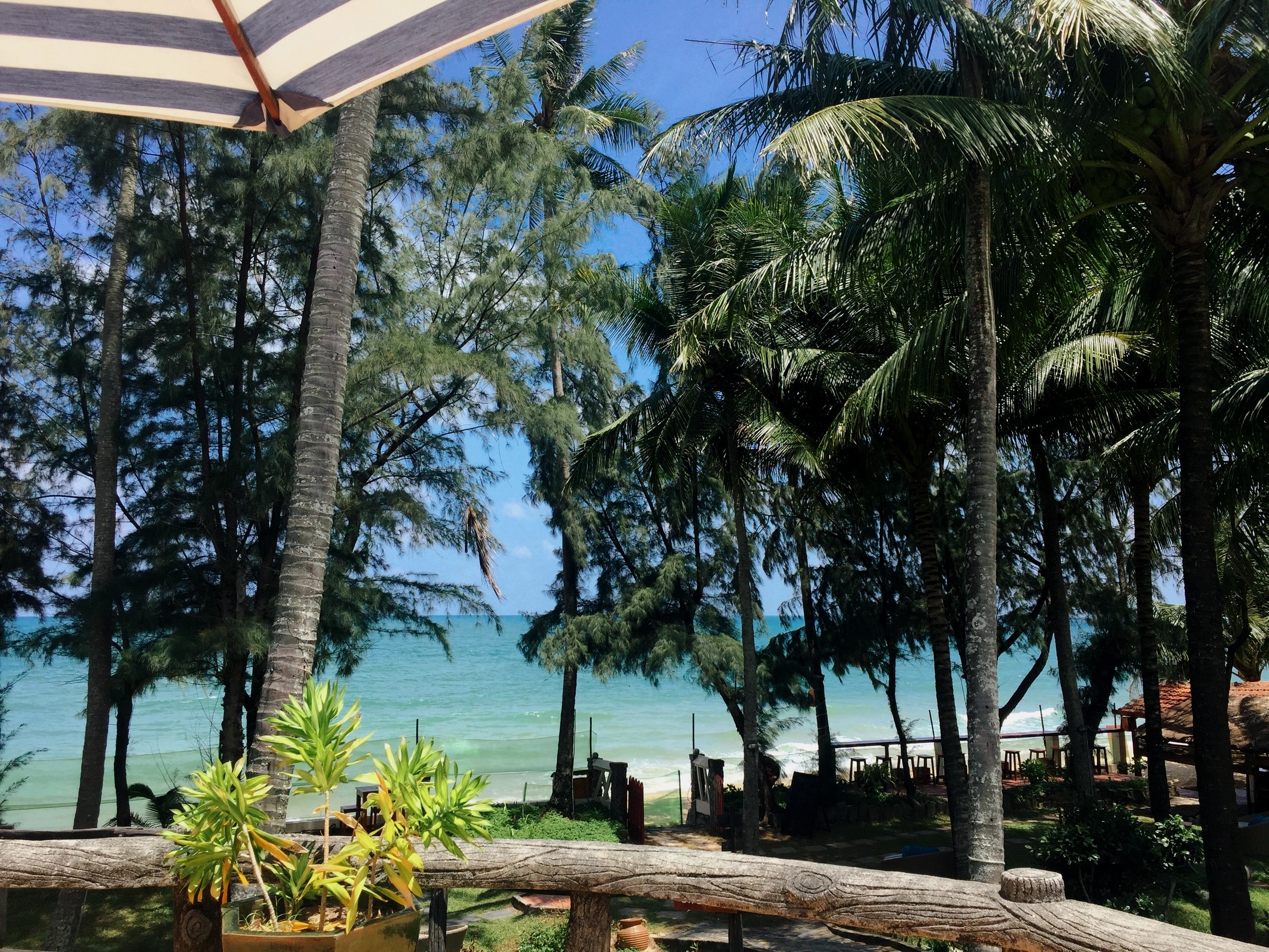 Покори Вьетнам (25/53)