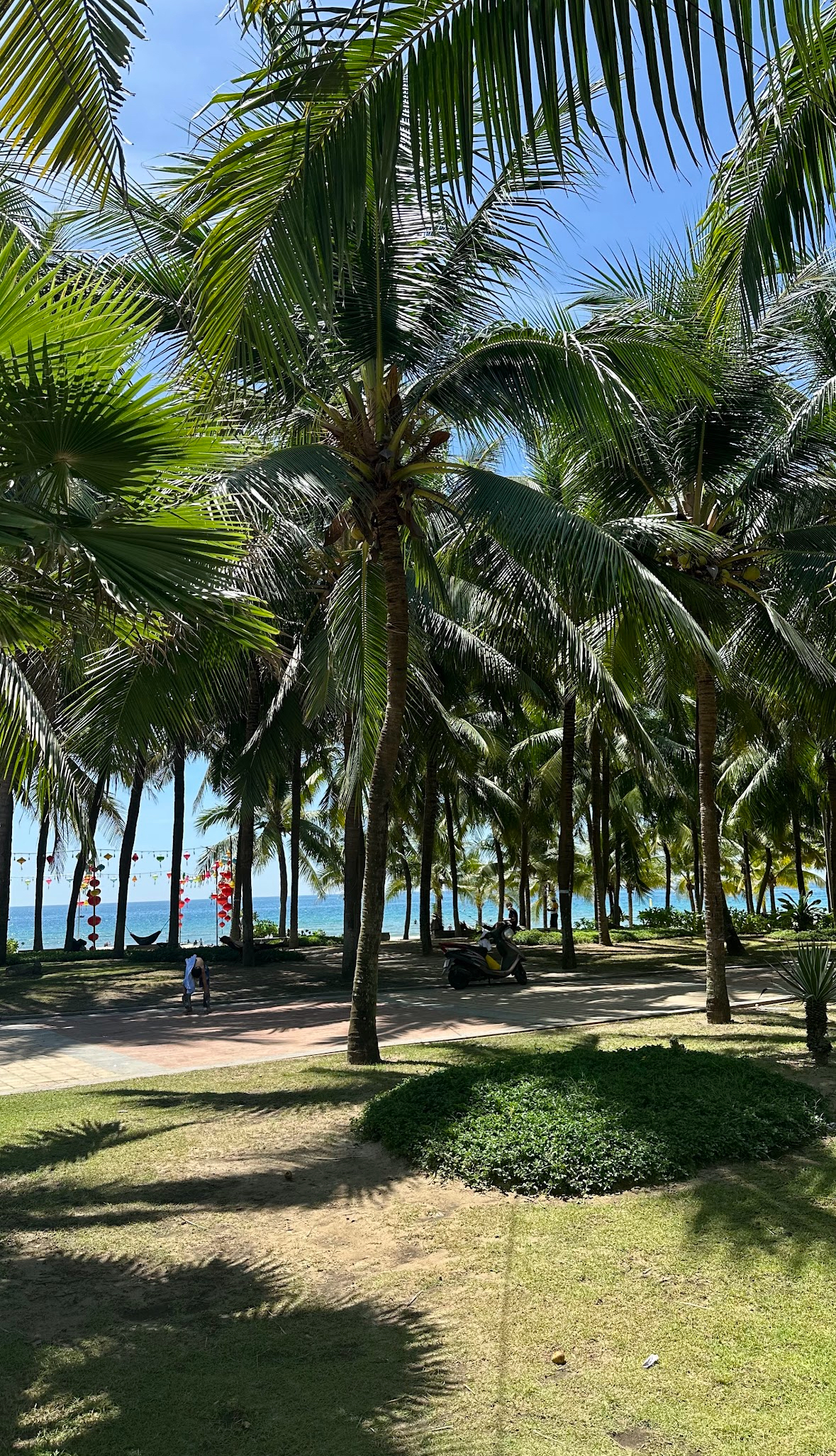 Покори Вьетнам (31/53)