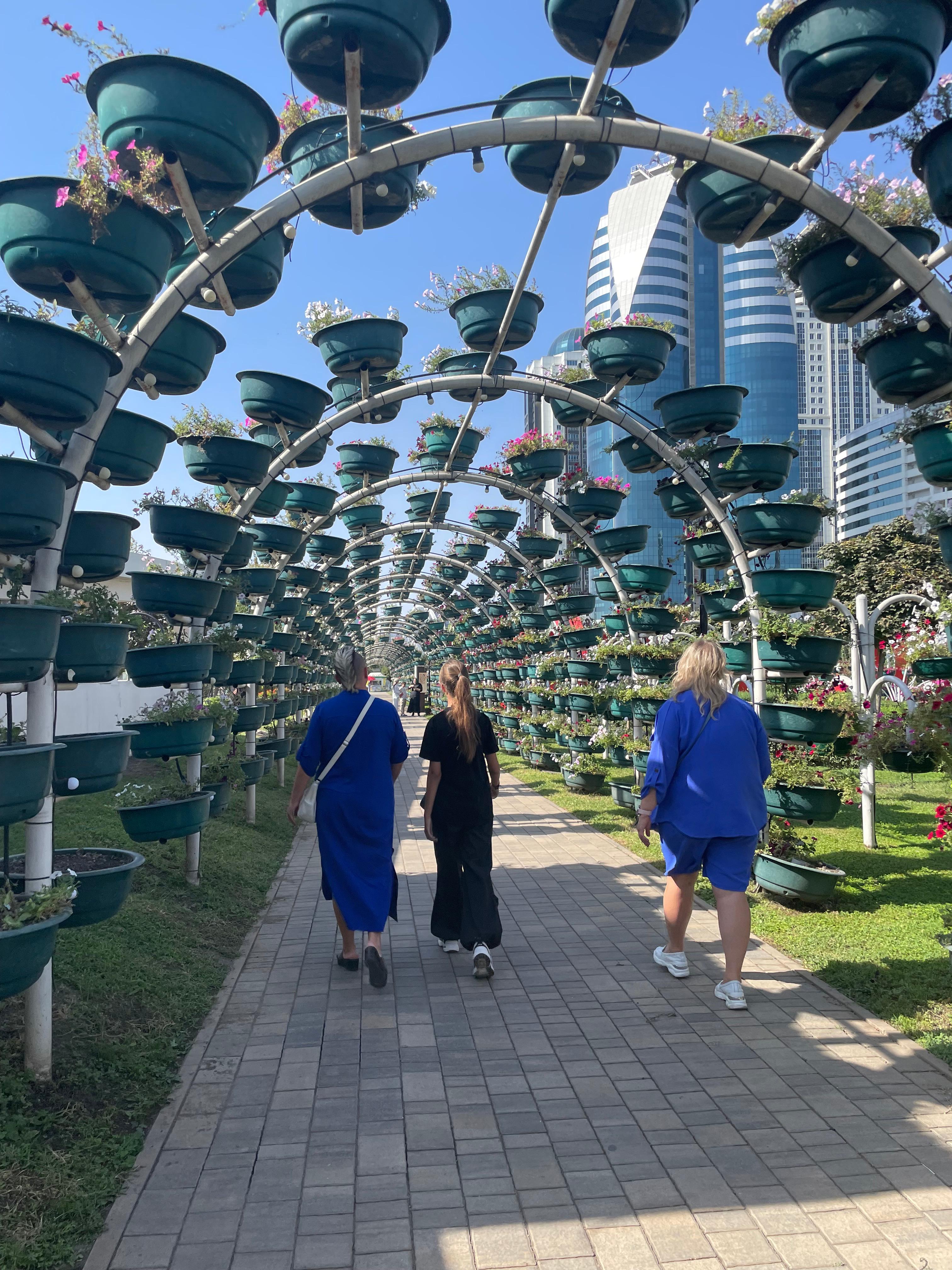 Джип тур в Чечню (14/18)