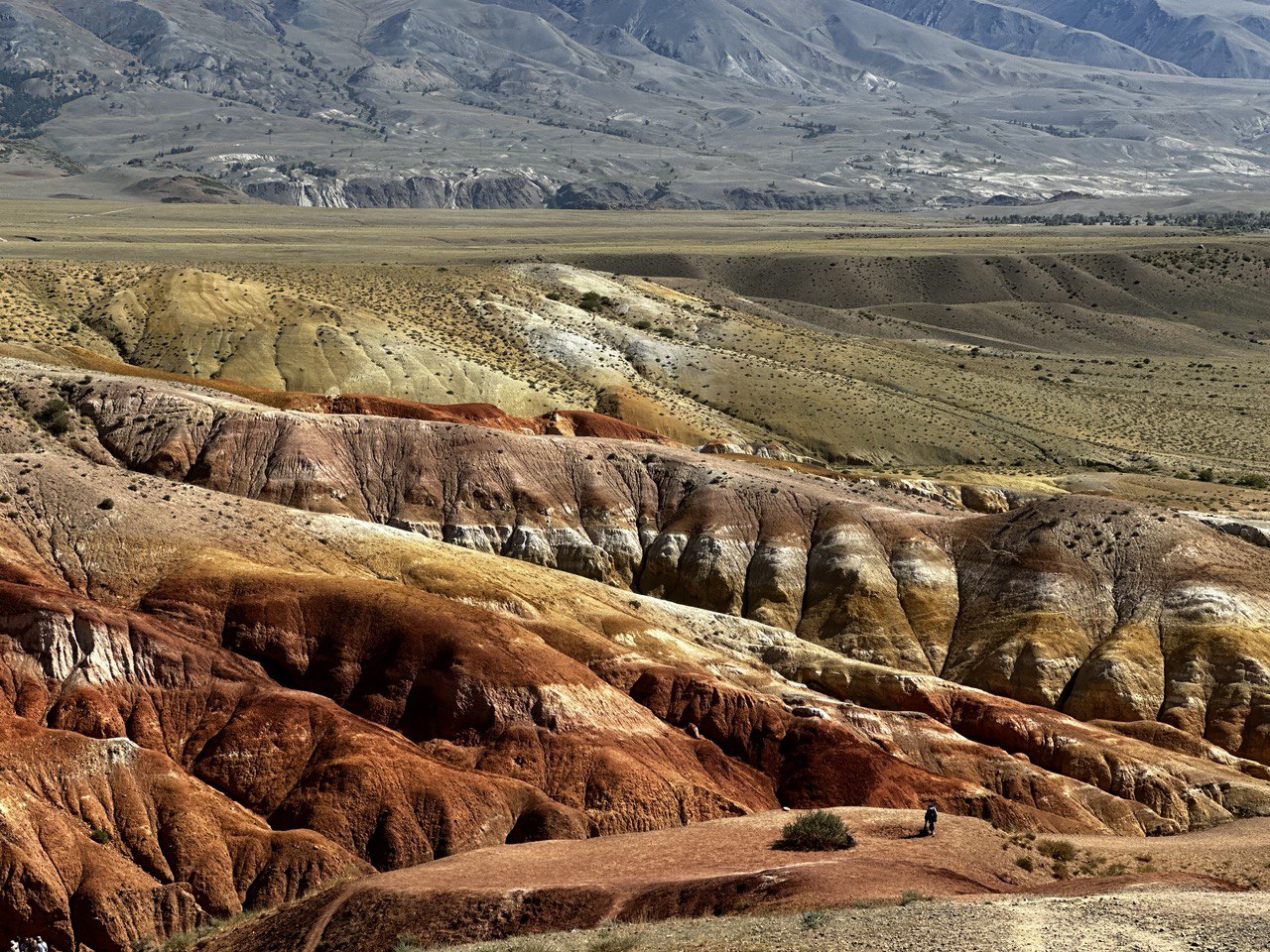 Золотой Алтай, кольцевой тур через Телецкое озеро (23/42)