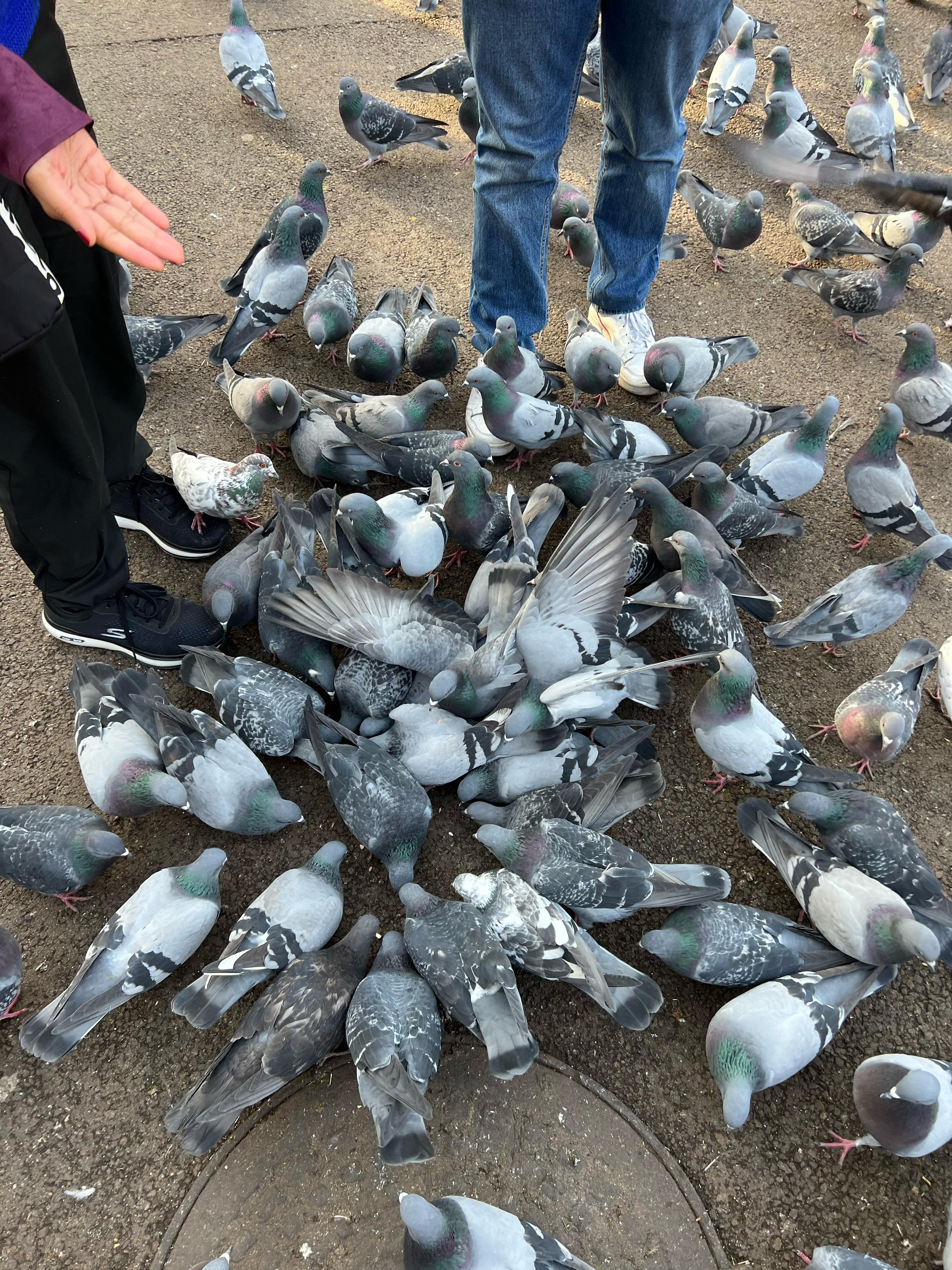 Пешеходная экскурсия  Что посмотреть в Алматы. (4/16)