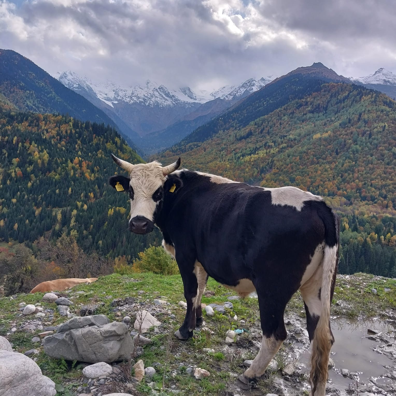 Фантастическая Грузия! 7 дней ярких впечатлений с душевным гидом Сандро (387/420)