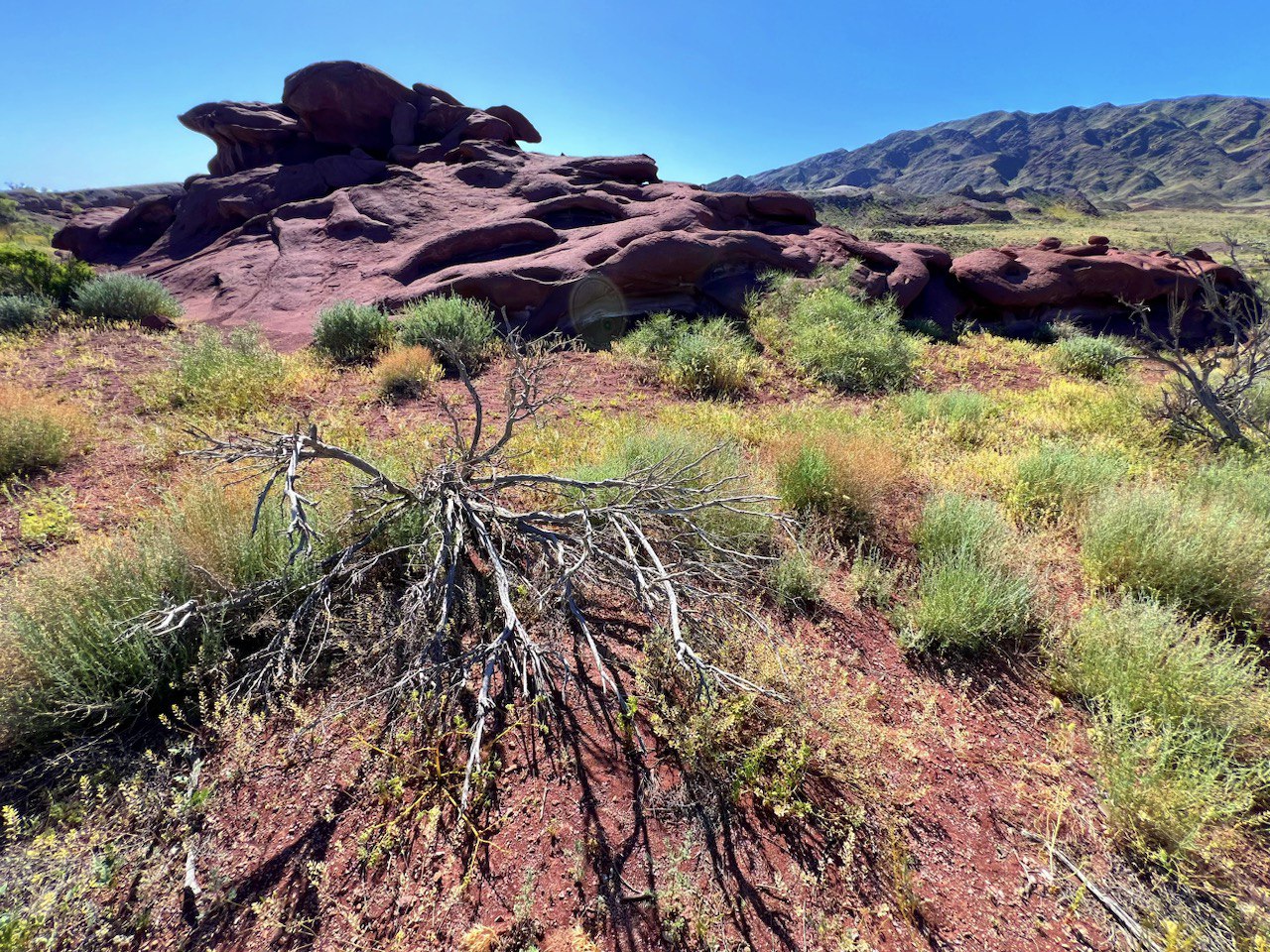 Алтын Эмель: горы Актау и Катытау за 1 день - в индивидуальном формате (15/16)