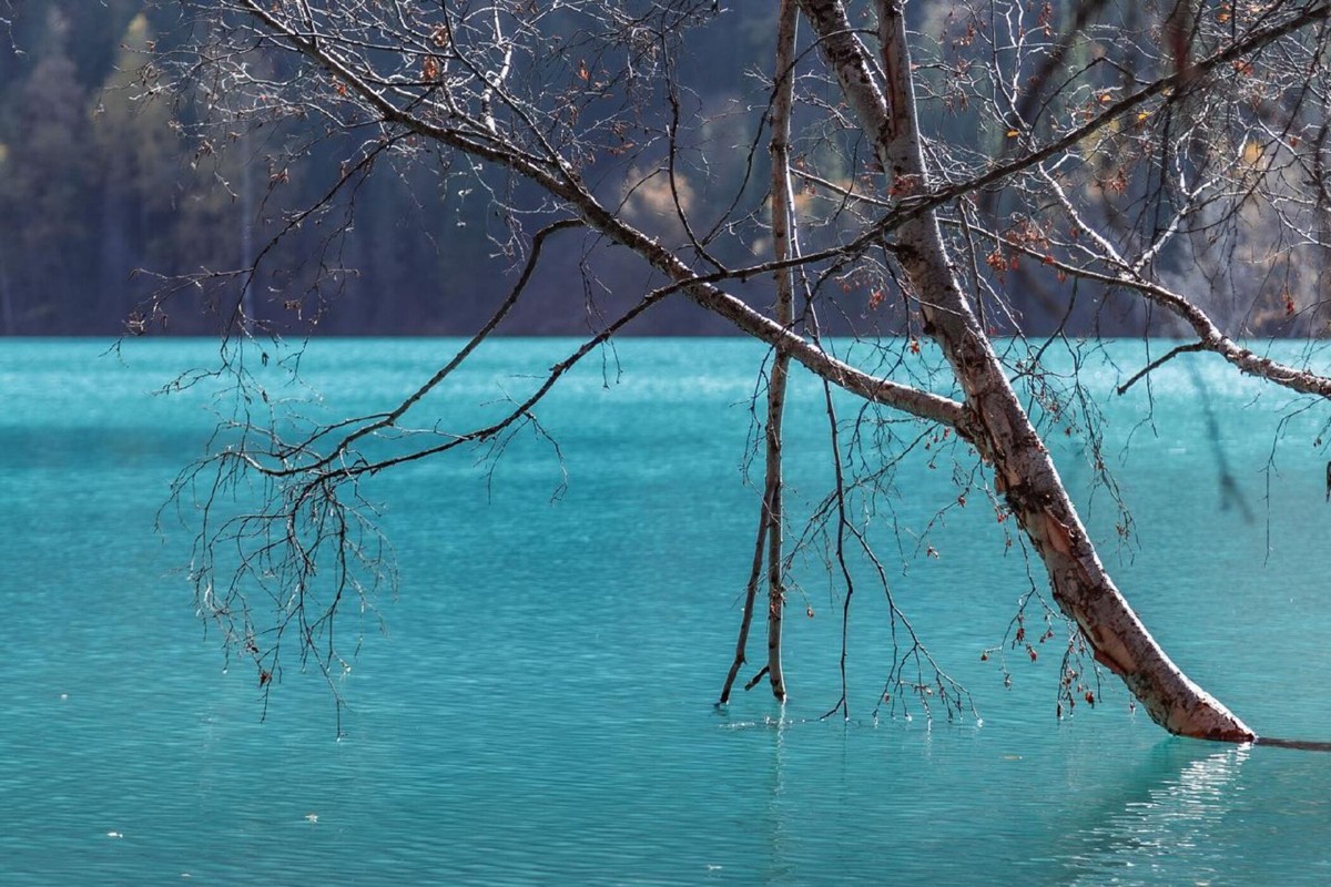 Озеро Иссык и водопад Медвежий тур из Алматы в Тургень (6/17)