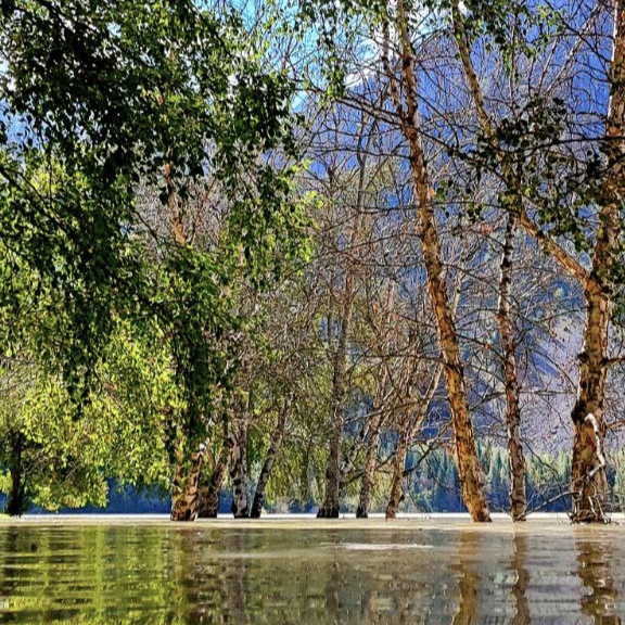 Озеро Иссык и водопад Медвежий тур из Алматы в Тургень (5/17)